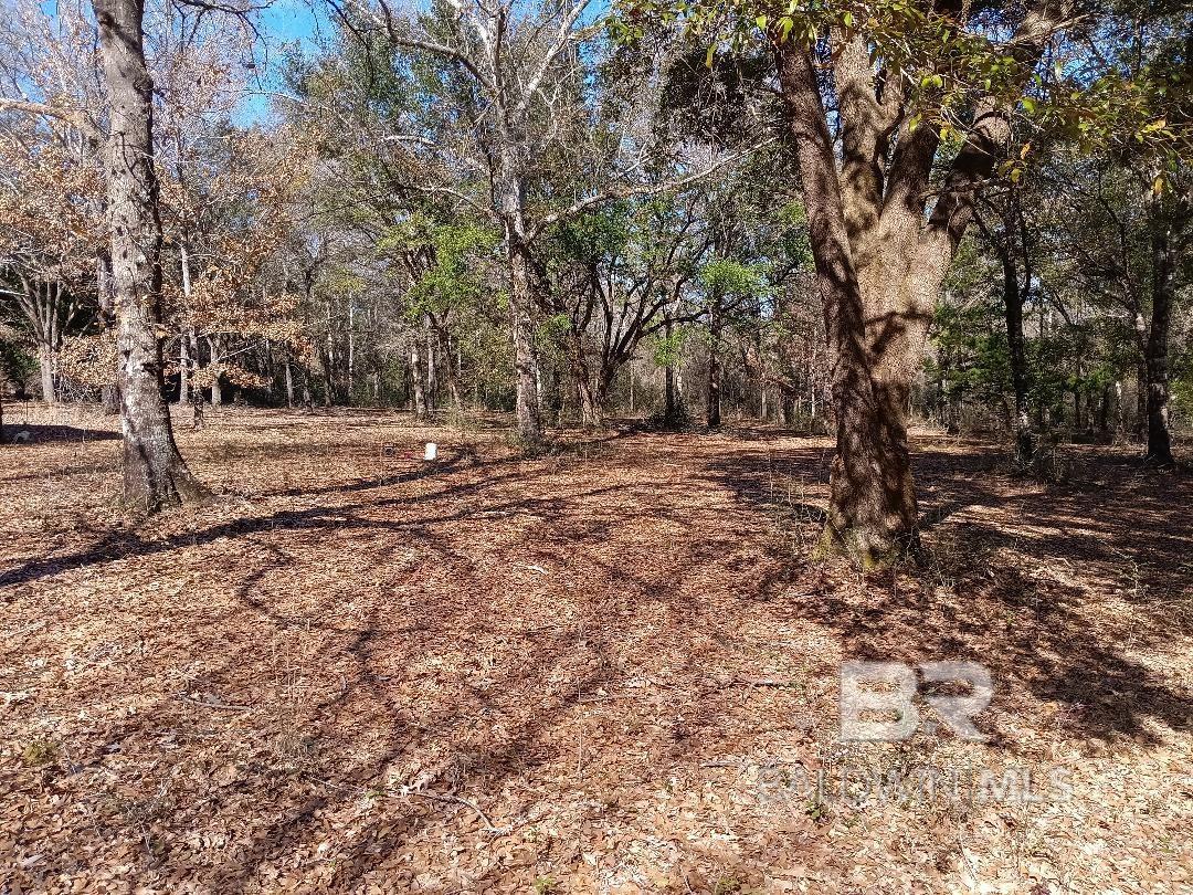 32799 Rustic Bend, Robertsdale, AL, 36567