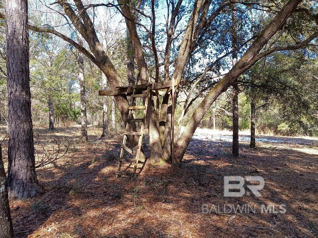 32799 Rustic Bend, Robertsdale, AL, 36567