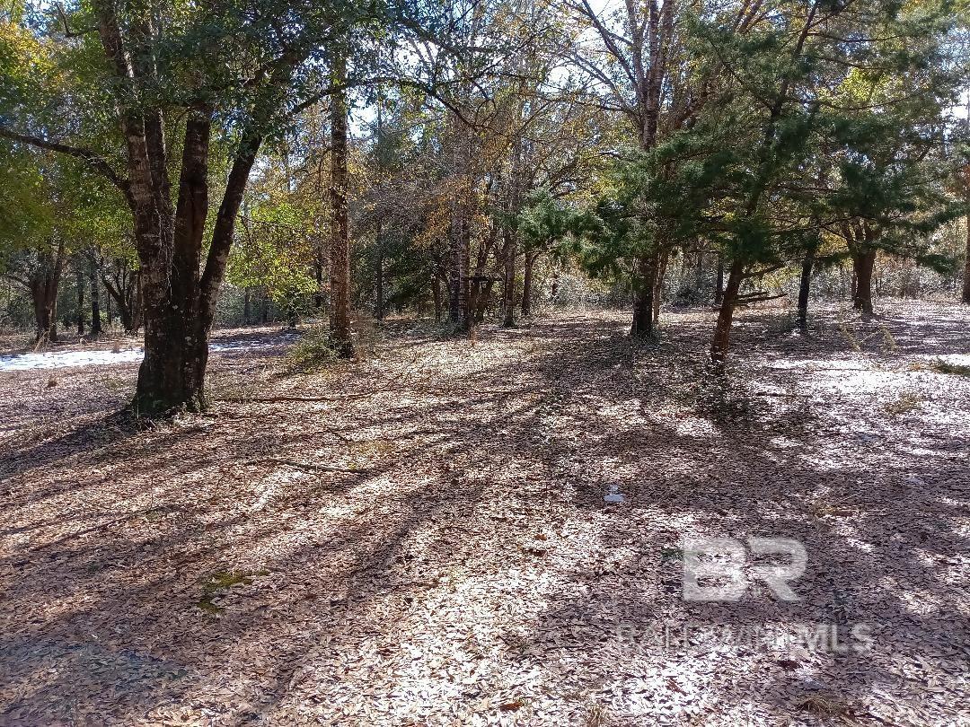 32799 Rustic Bend, Robertsdale, AL, 36567