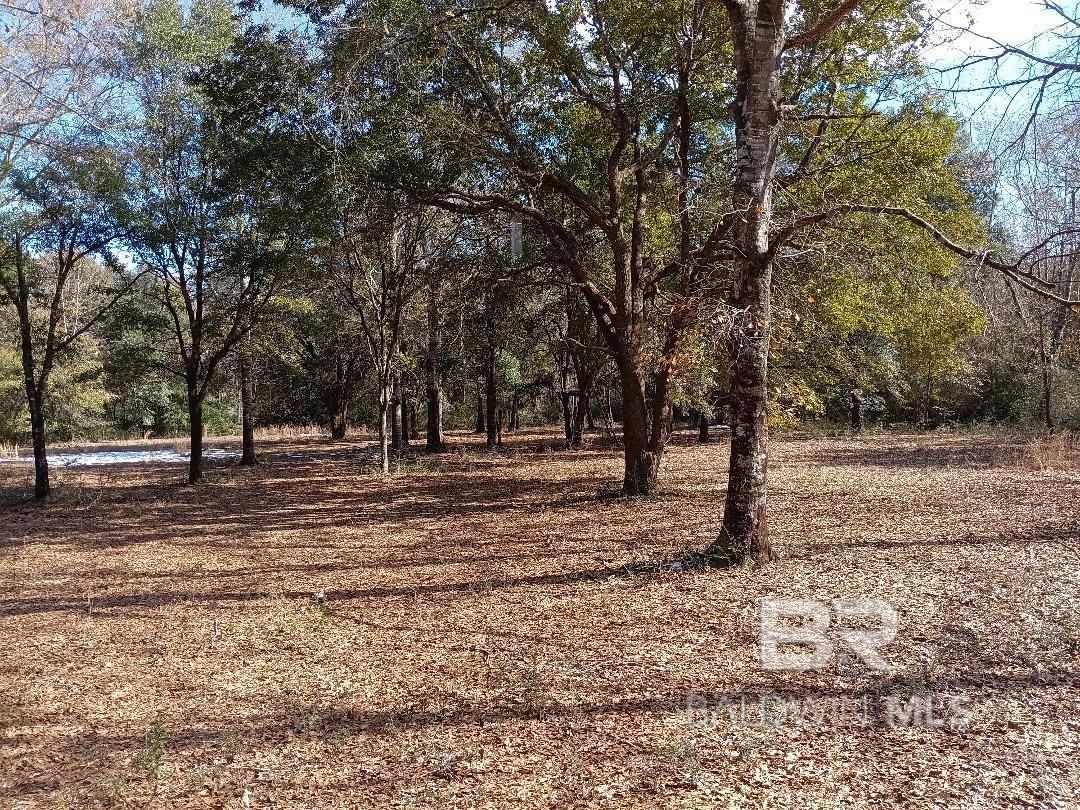 32799 Rustic Bend, Robertsdale, AL, 36567