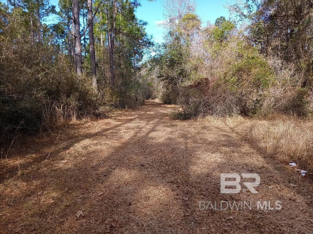 32799 Rustic Bend, Robertsdale, AL, 36567