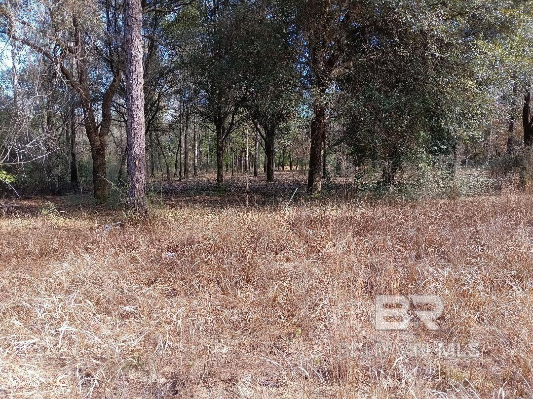 32799 Rustic Bend, Robertsdale, AL, 36567