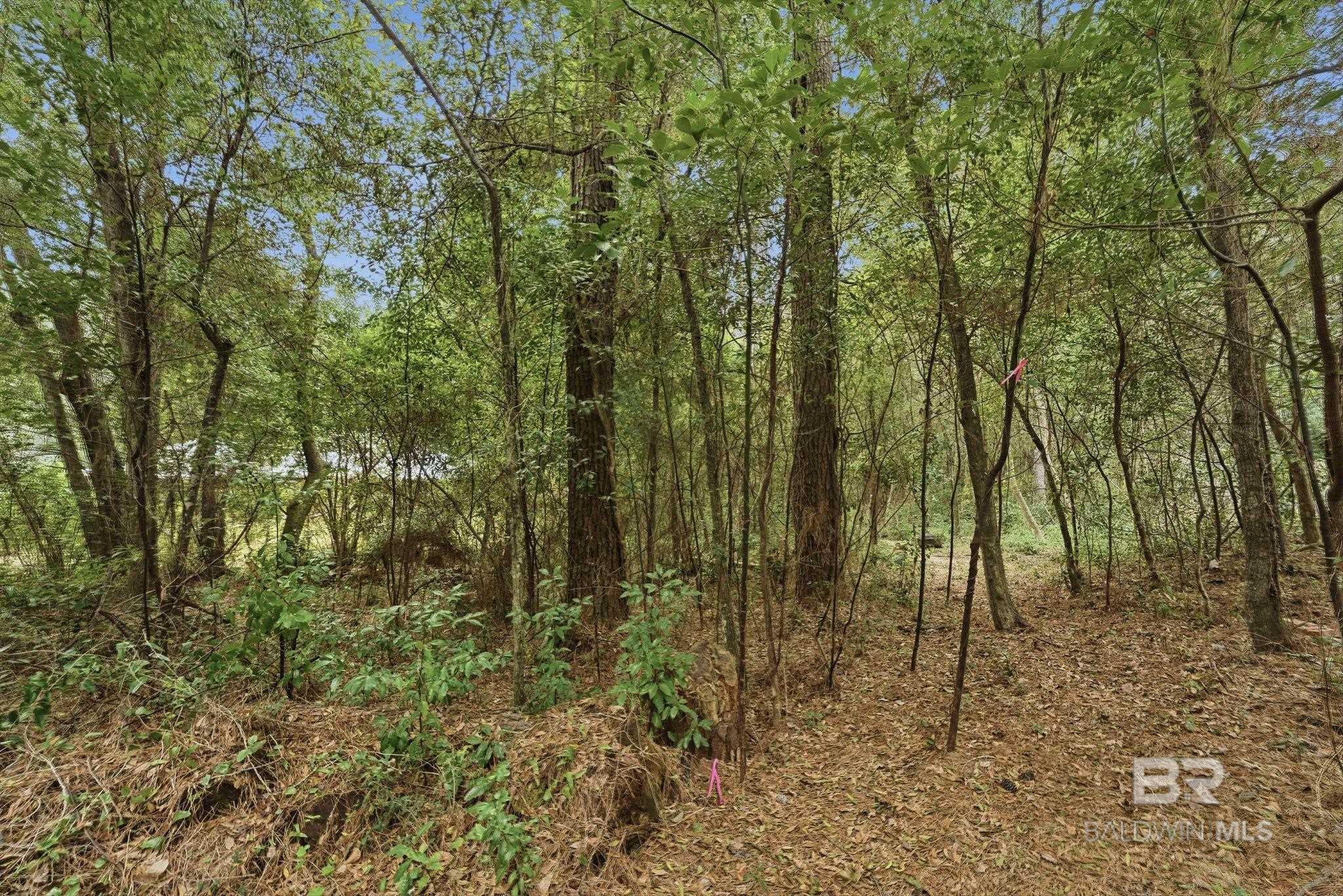 600 S Church Street, Fairhope, AL, 36532