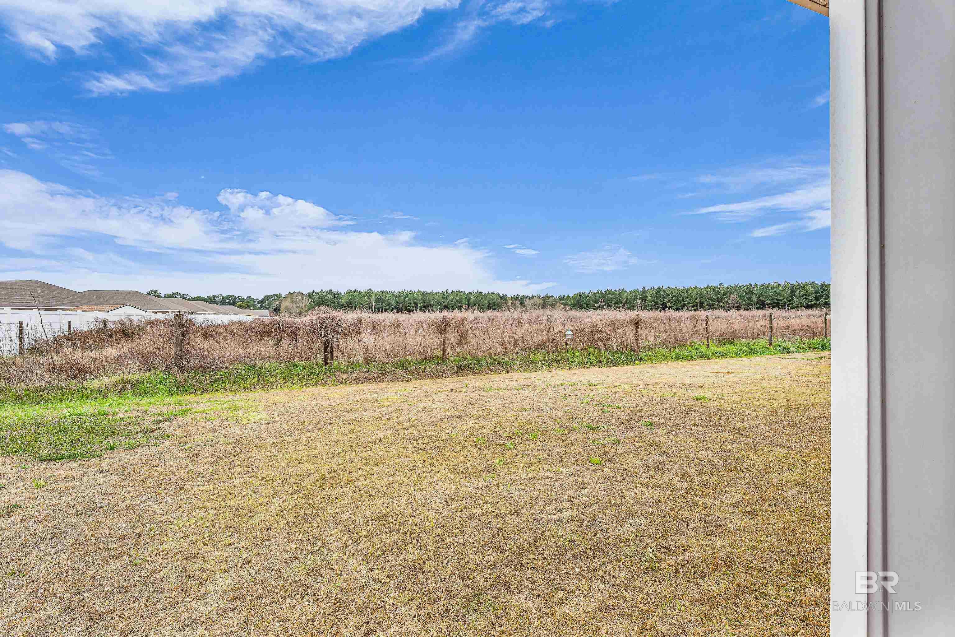 10976 Animal Kingdom Way, Daphne, AL, 36526