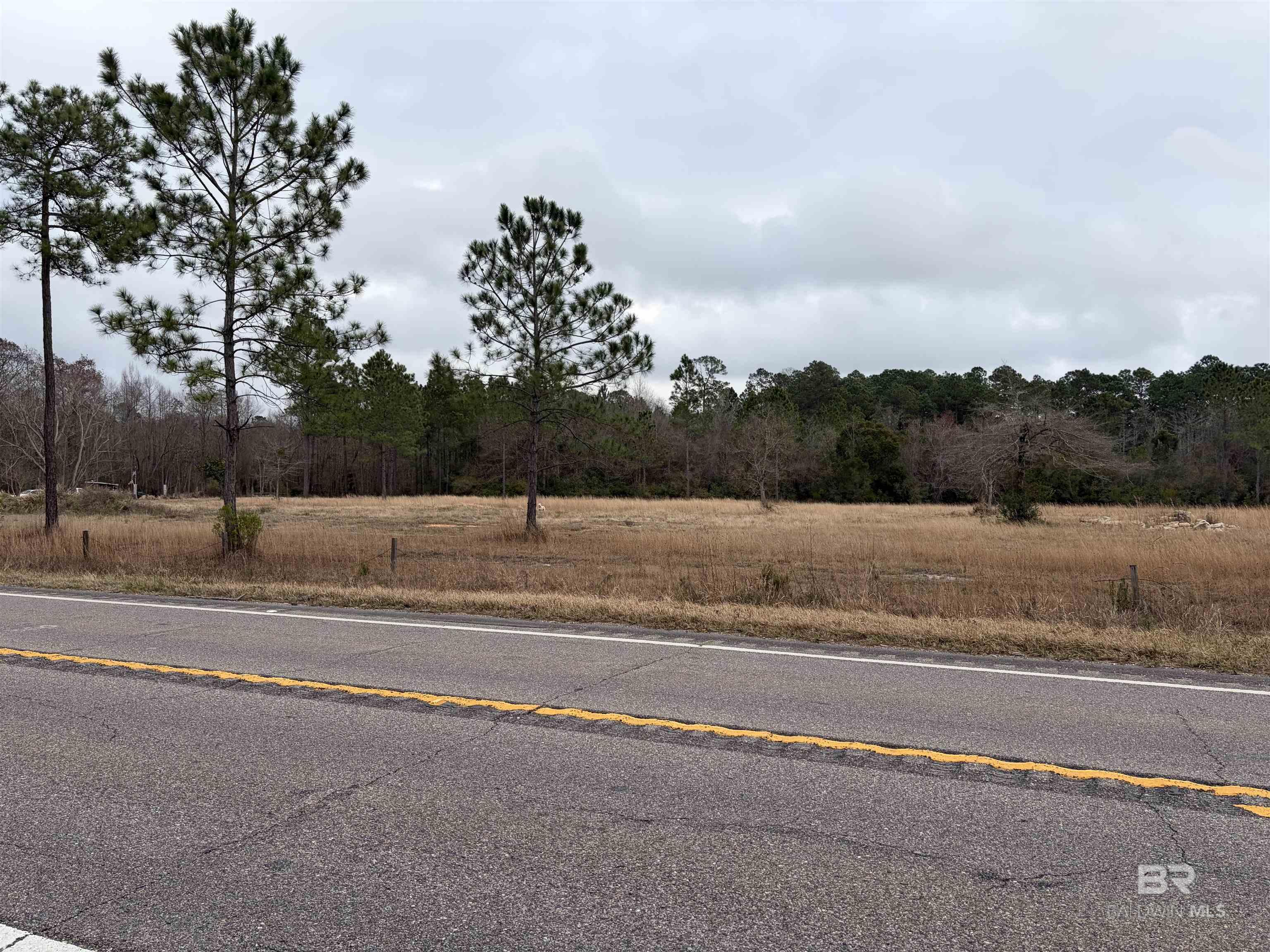 10585 Bellingrath Road, Theodore, AL, 36582