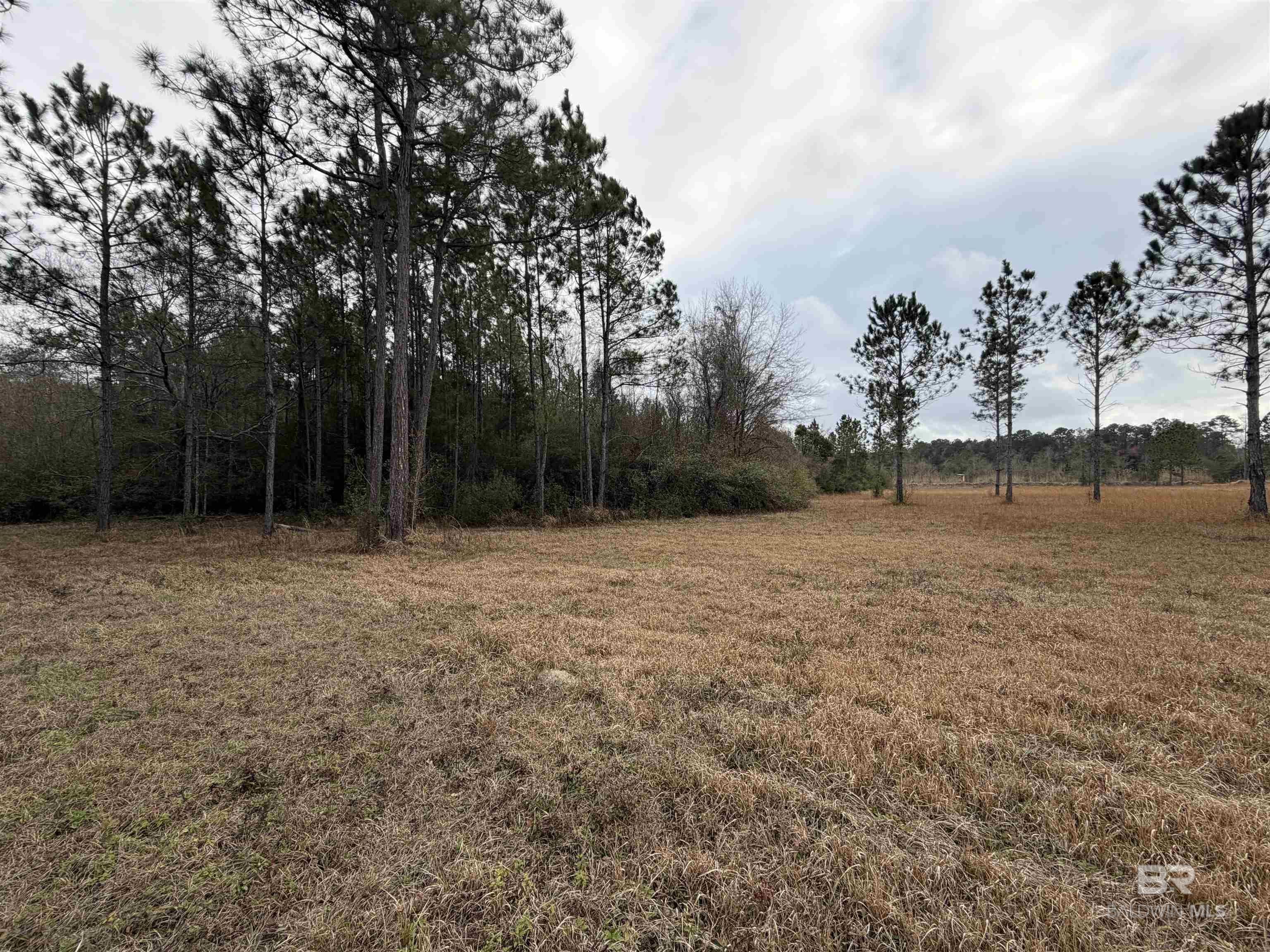 10585 Bellingrath Road, Theodore, AL, 36582