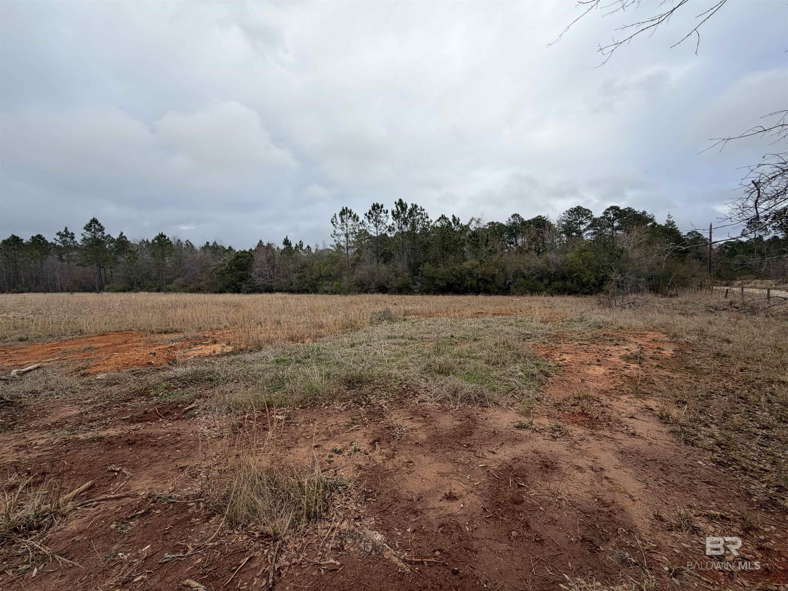 10585 Bellingrath Road, Theodore, AL, 36582
