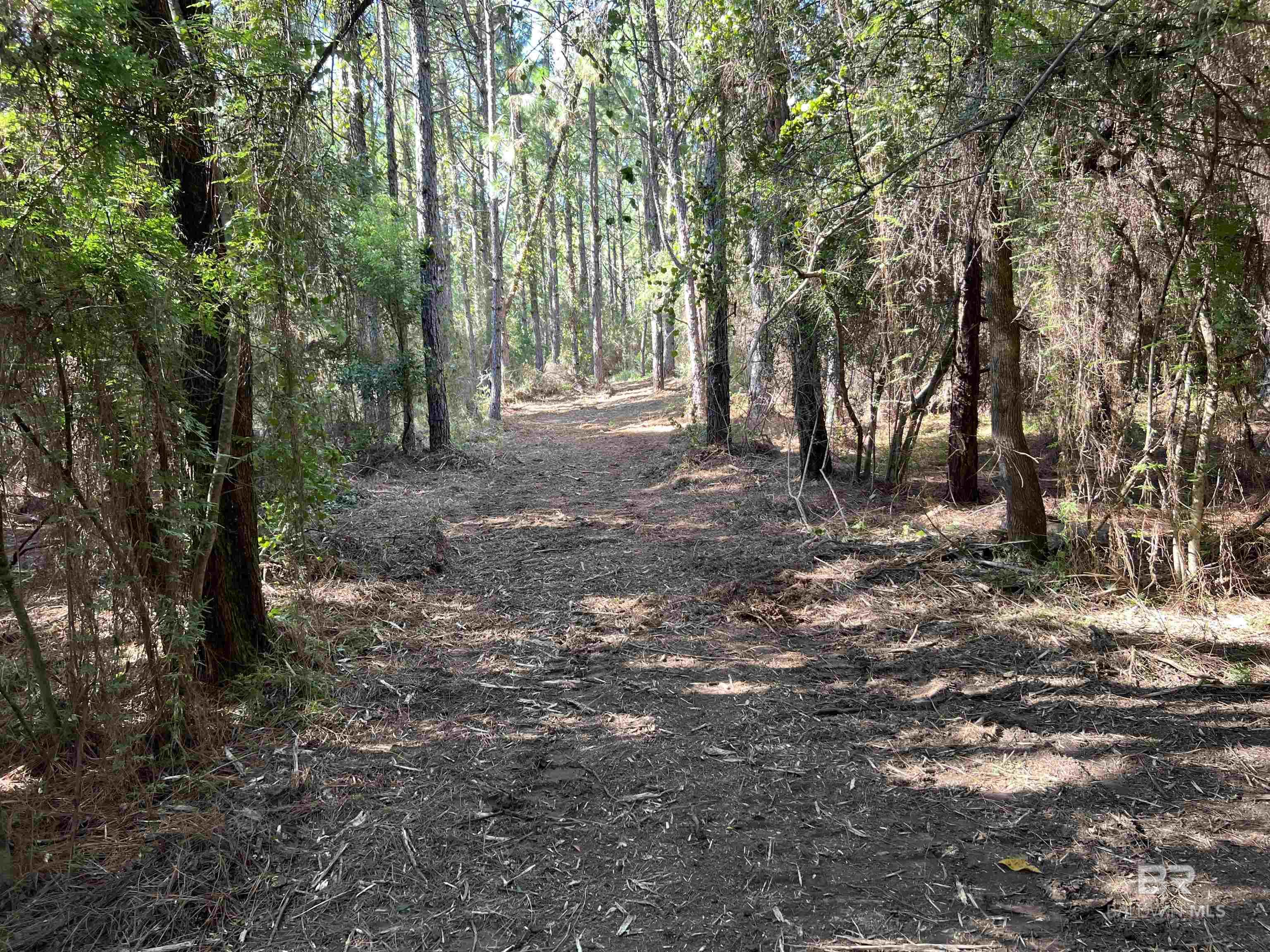 0 Barnhill Farm Road, Loxley, AL, 36551