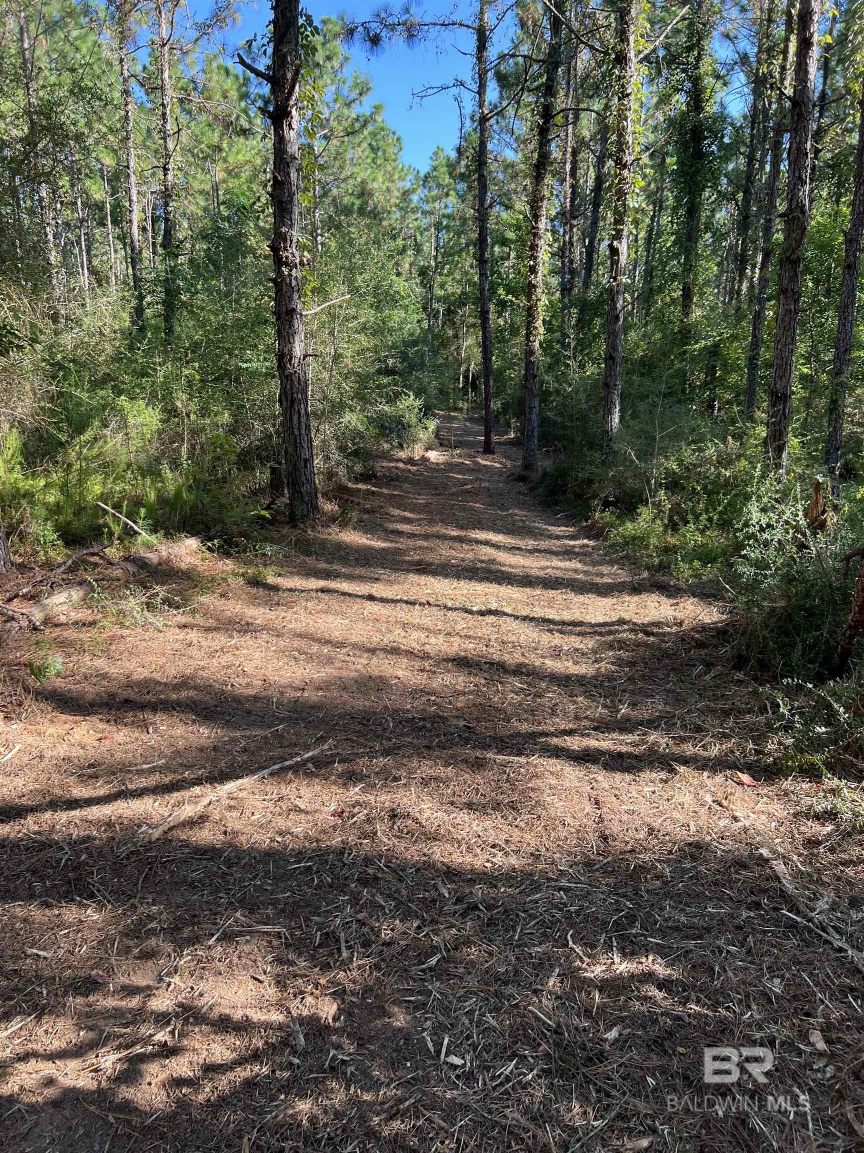 0 Barnhill Farm Road, Loxley, AL, 36551