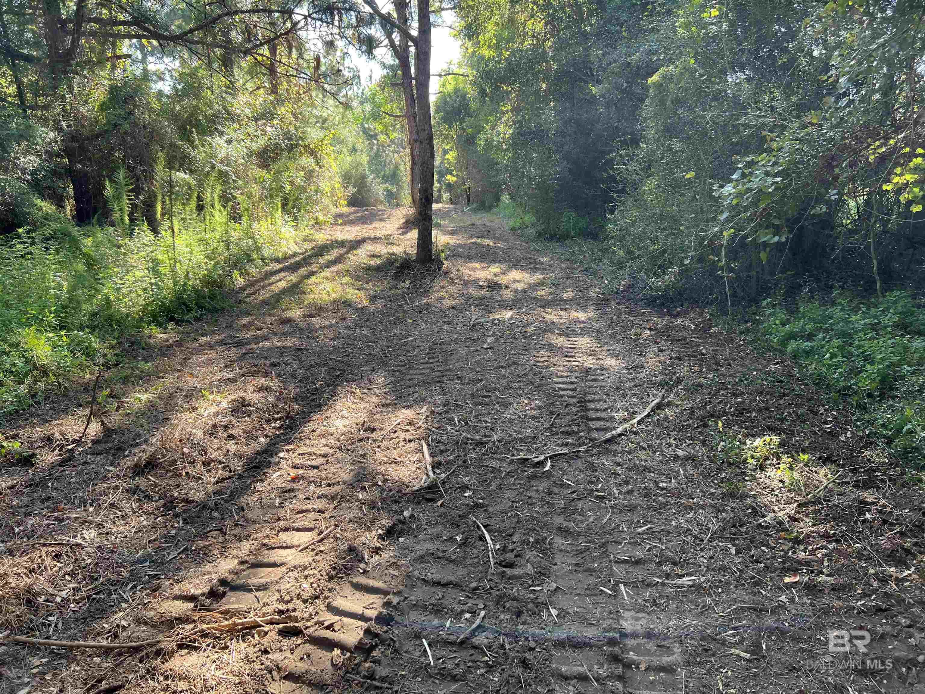 0 Barnhill Farm Road, Loxley, AL, 36551