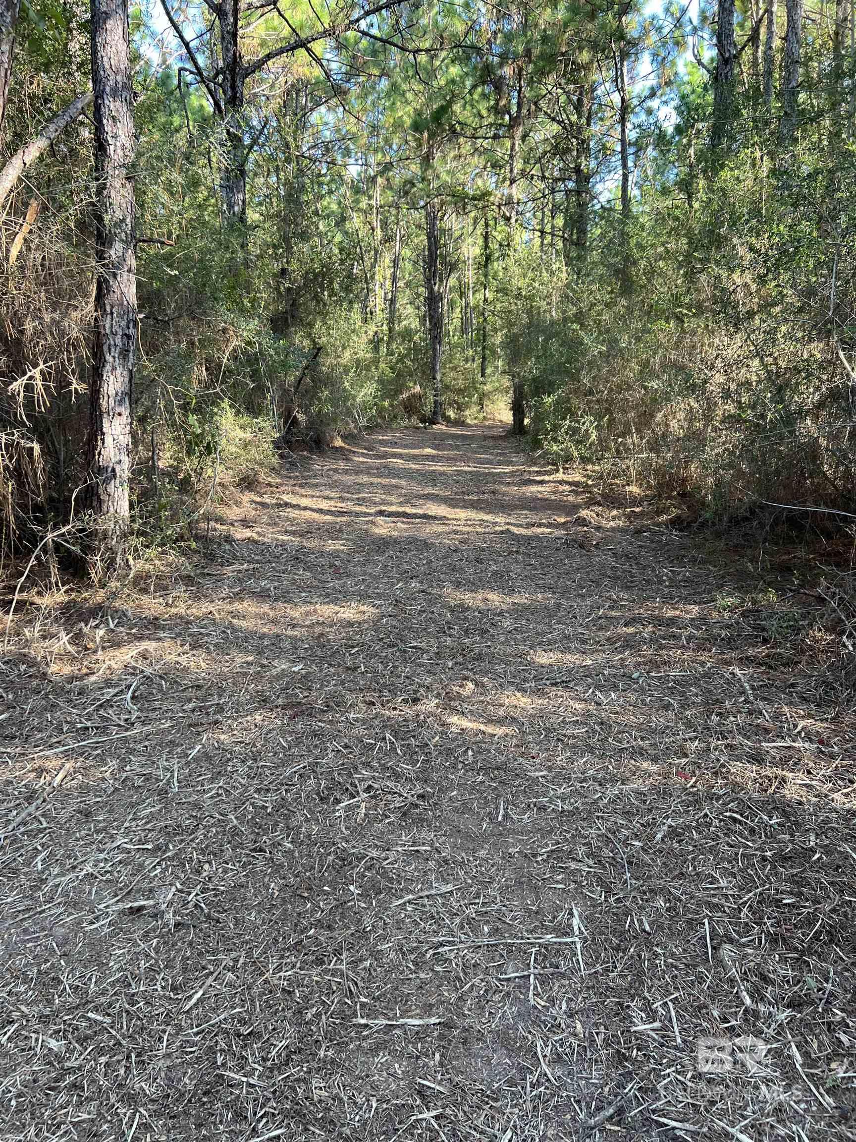 0 Barnhill Farm Road, Loxley, AL, 36551