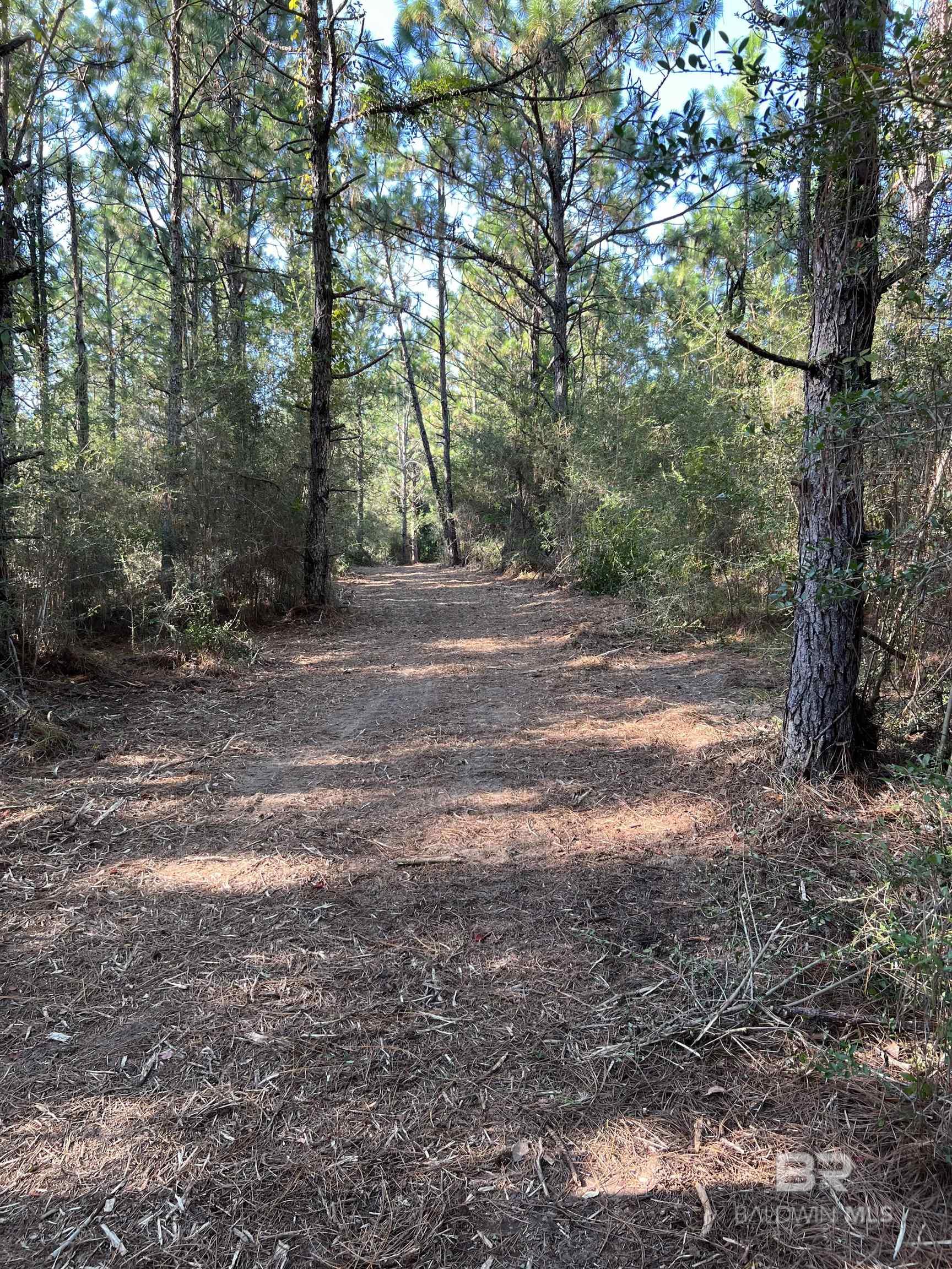 0 Barnhill Farm Road, Loxley, AL, 36551