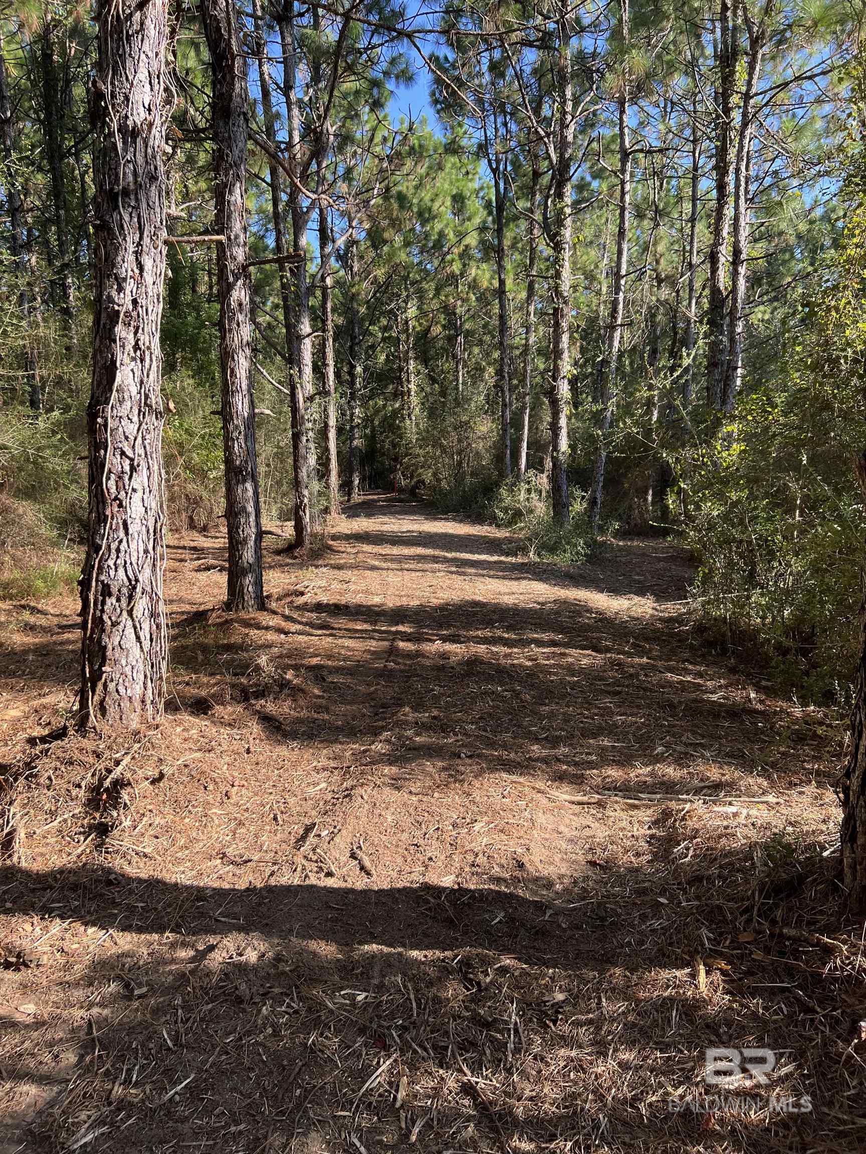 0 Barnhill Farm Road, Loxley, AL, 36551