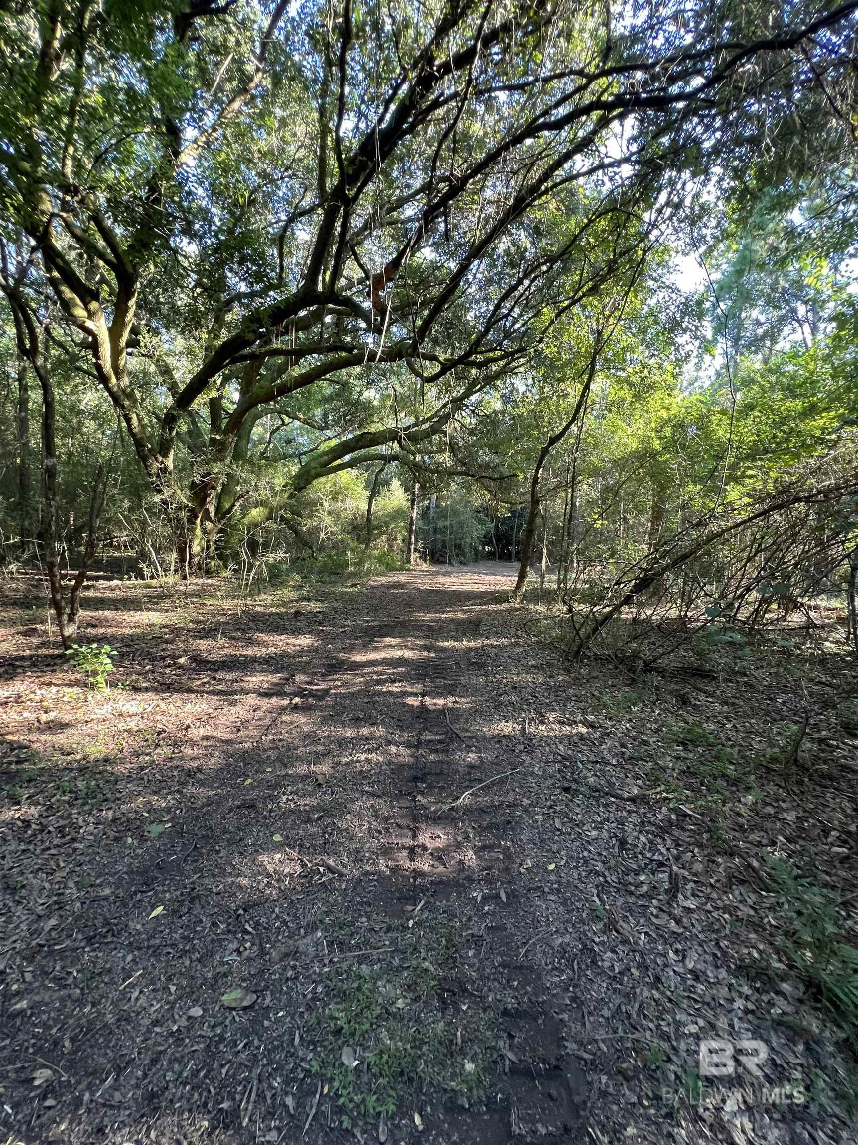 0 Barnhill Farm Road, Loxley, AL, 36551