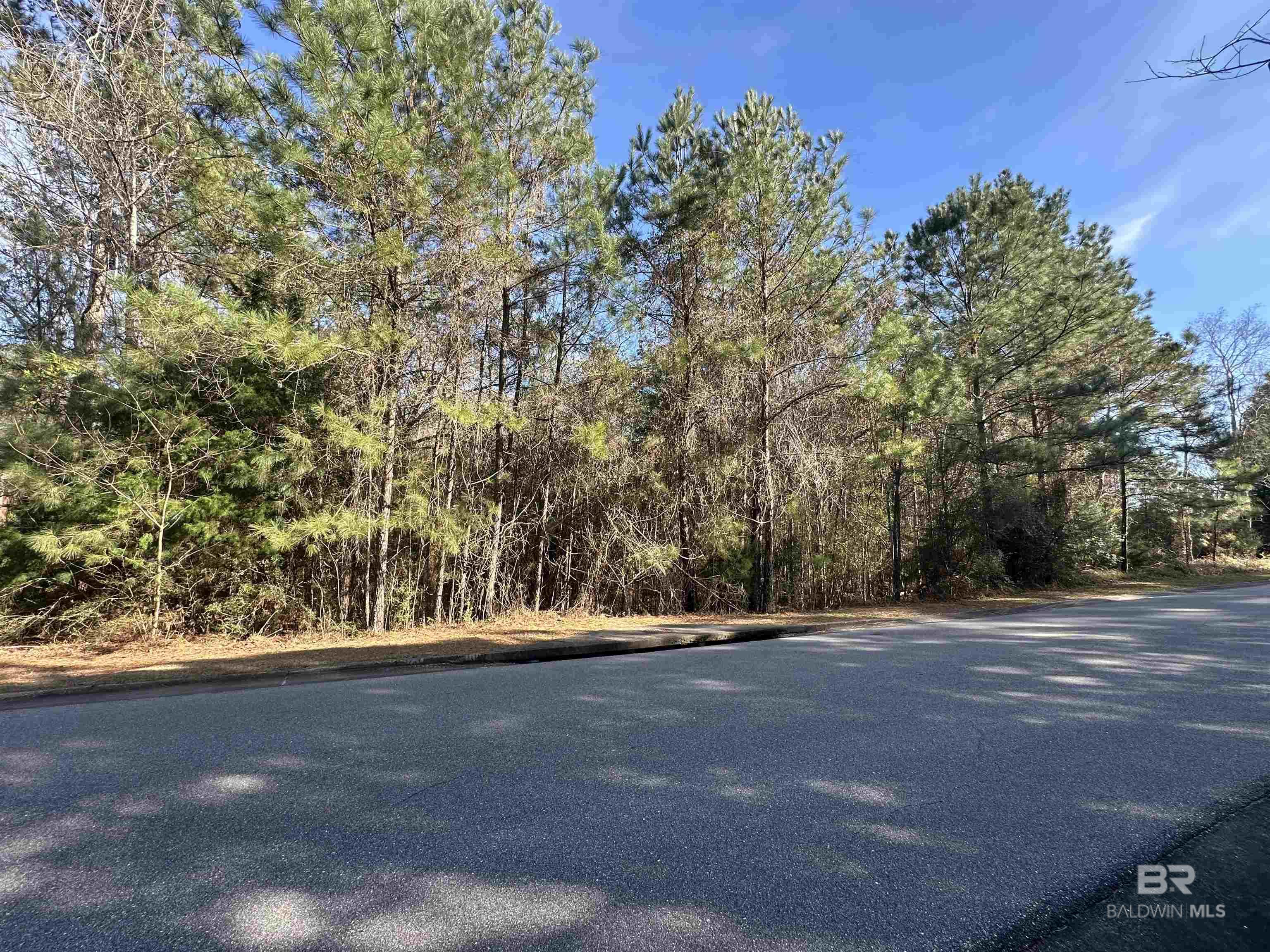 0 Boardwalk Drive, Daphne, AL, 36527-5419