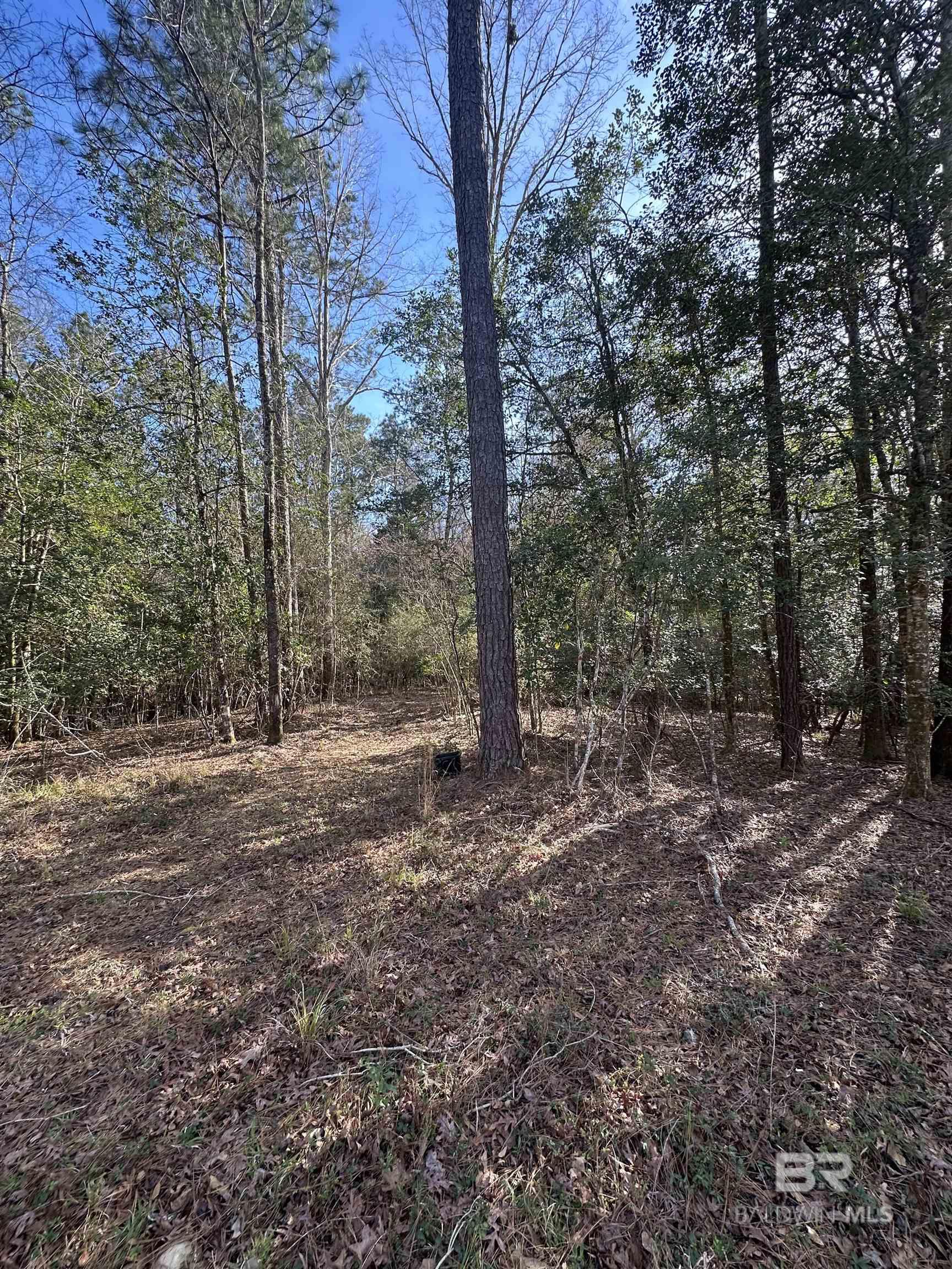 0 Boardwalk Drive, Daphne, AL, 36527-5419