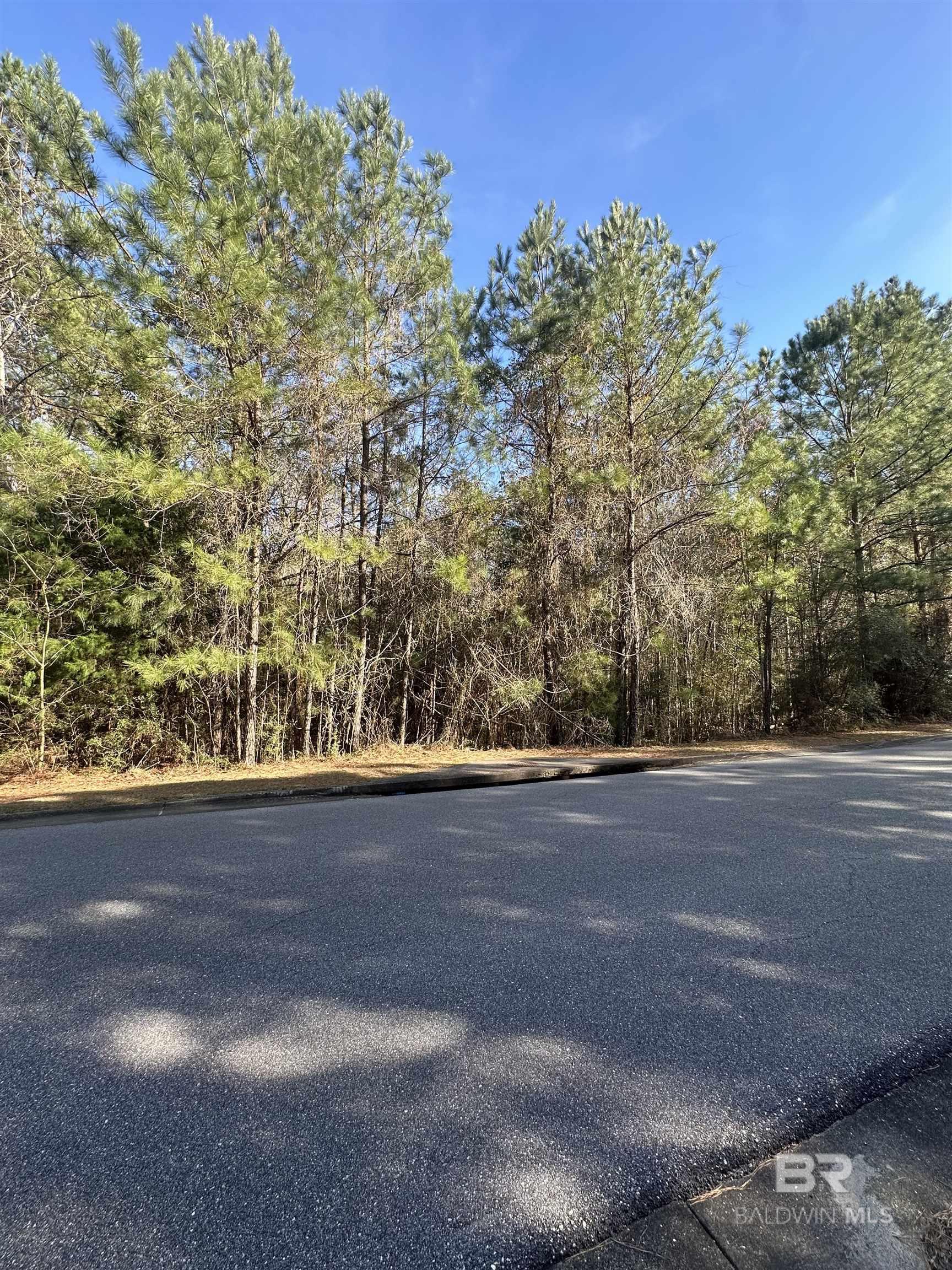 0 Boardwalk Drive, Daphne, AL, 36527-5419