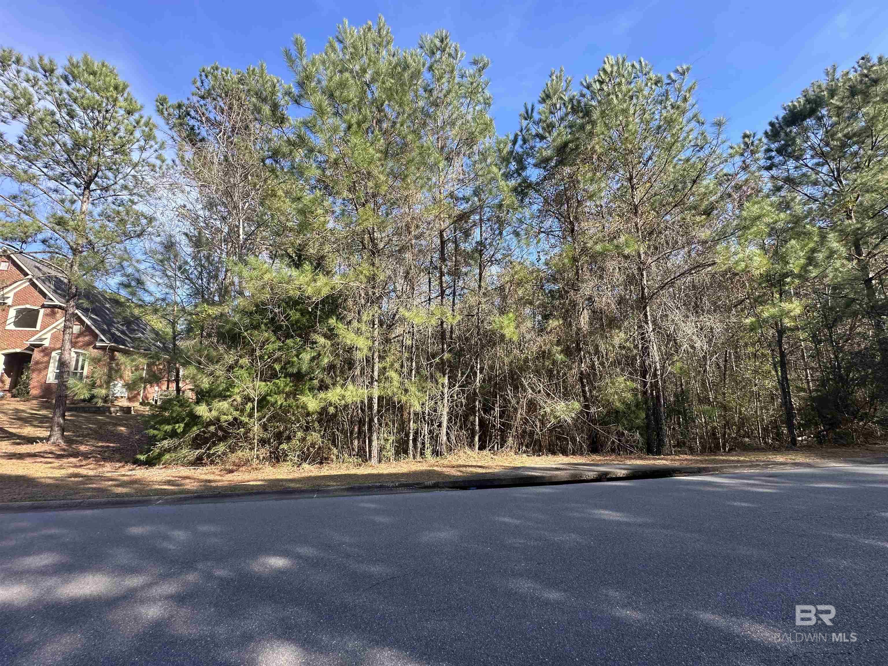 0 Boardwalk Drive, Daphne, AL, 36527-5419