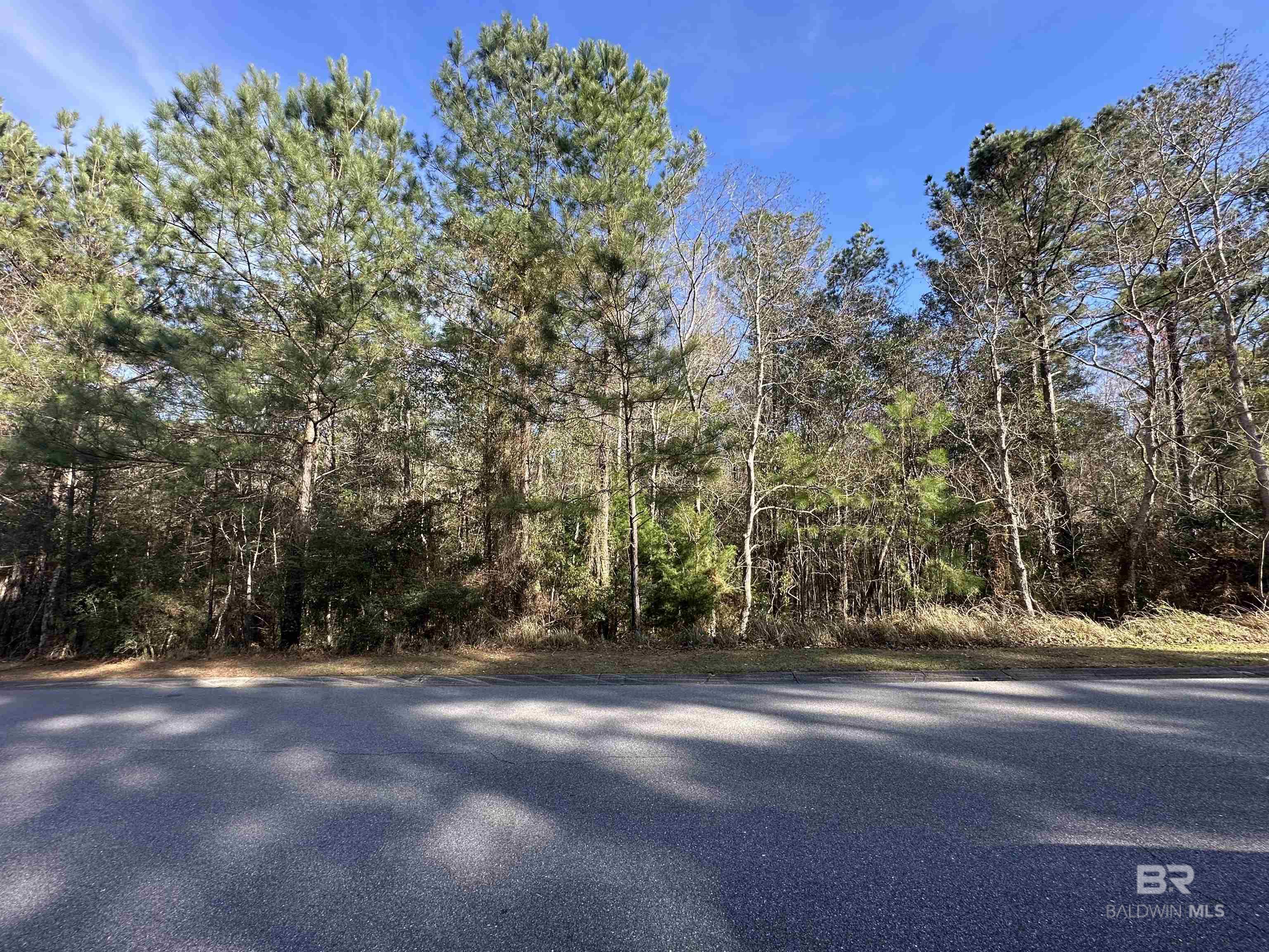 0 Boardwalk Drive, Daphne, AL, 36527-5419