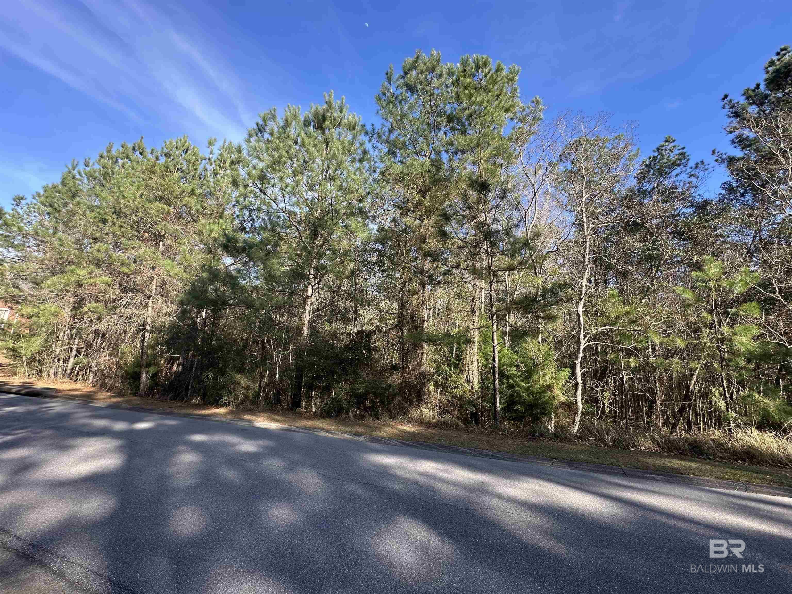 0 Boardwalk Drive, Daphne, AL, 36527-5419