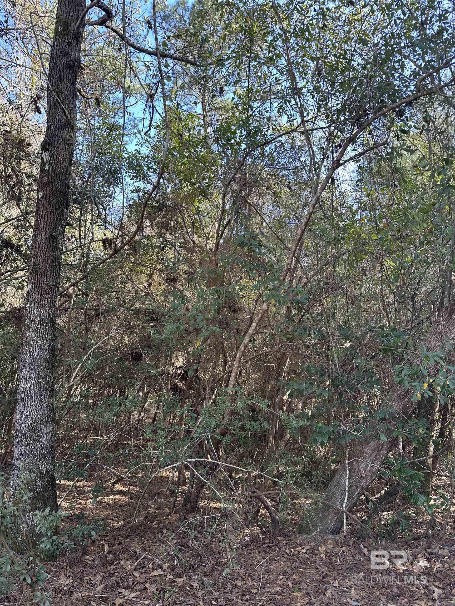 0 Boardwalk Drive, Daphne, AL, 36527-5419