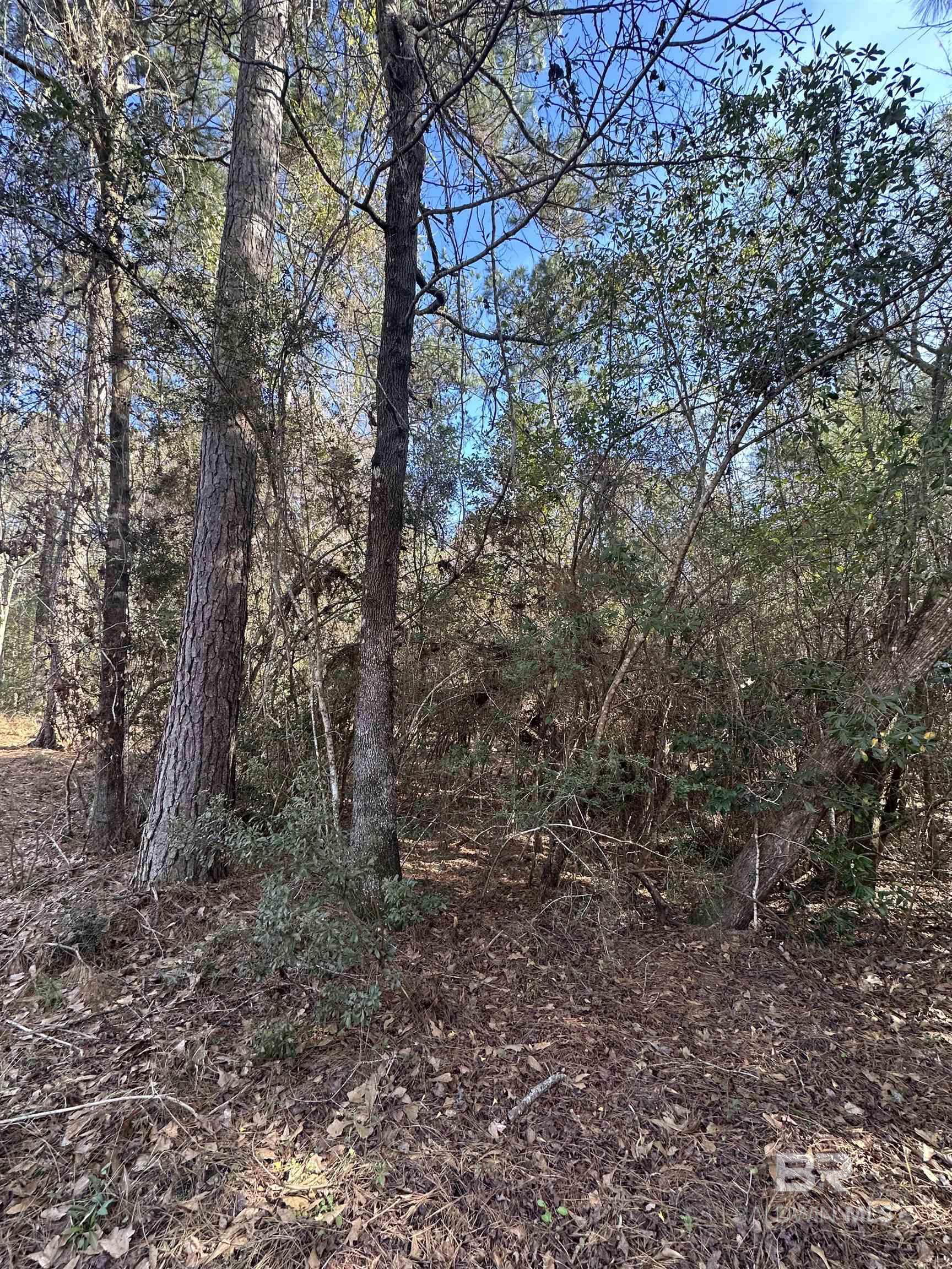 0 Boardwalk Drive, Daphne, AL, 36527-5419