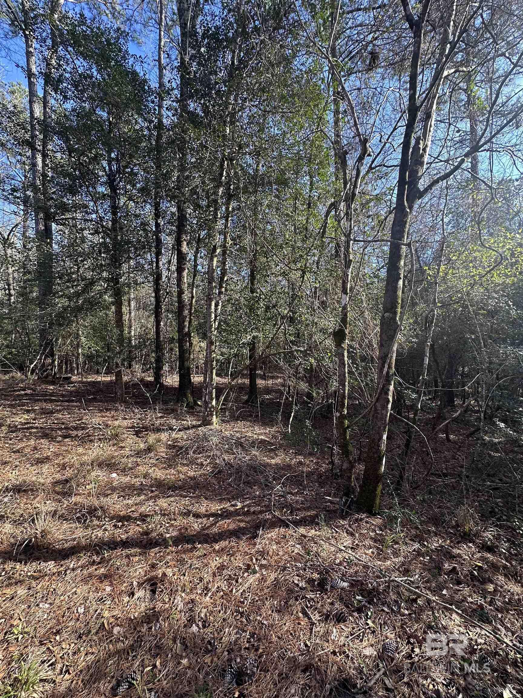 0 Boardwalk Drive, Daphne, AL, 36527-5419