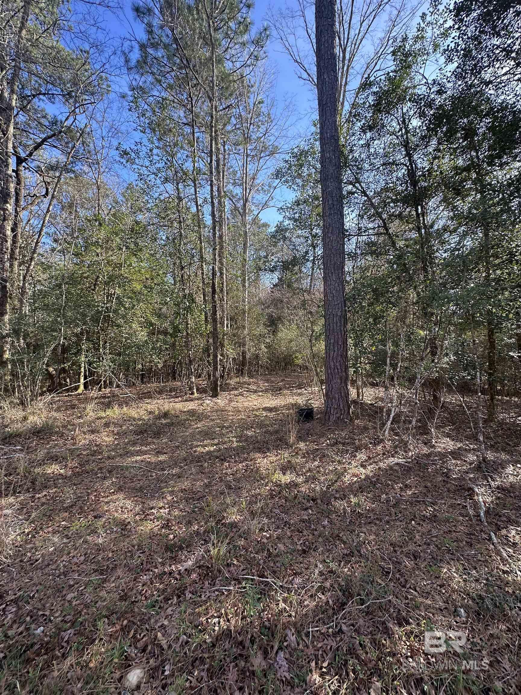 0 Boardwalk Drive, Daphne, AL, 36527-5419