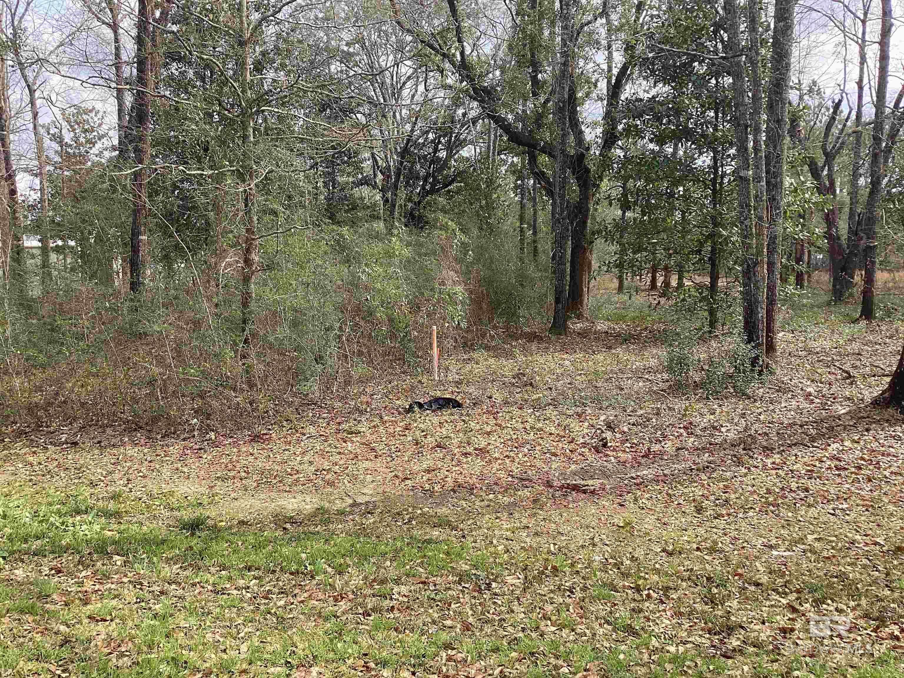 Condos for Sale in Quarters at Wolf Bay - Orange Beach AL