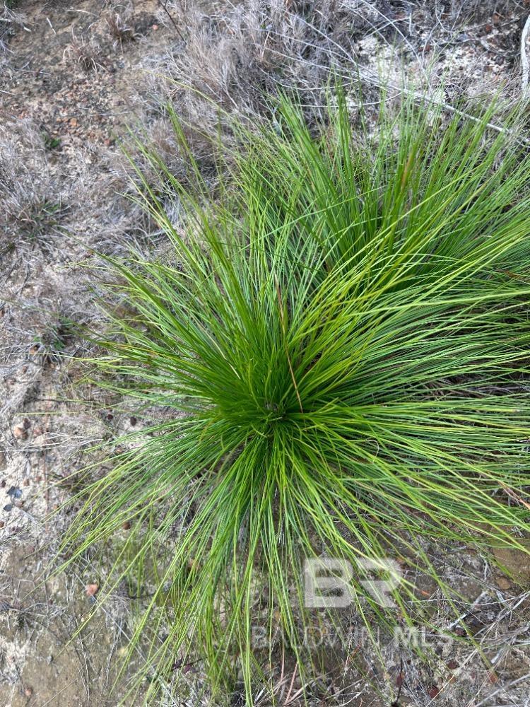 Condos for Sale in Quarters at Wolf Bay - Orange Beach AL