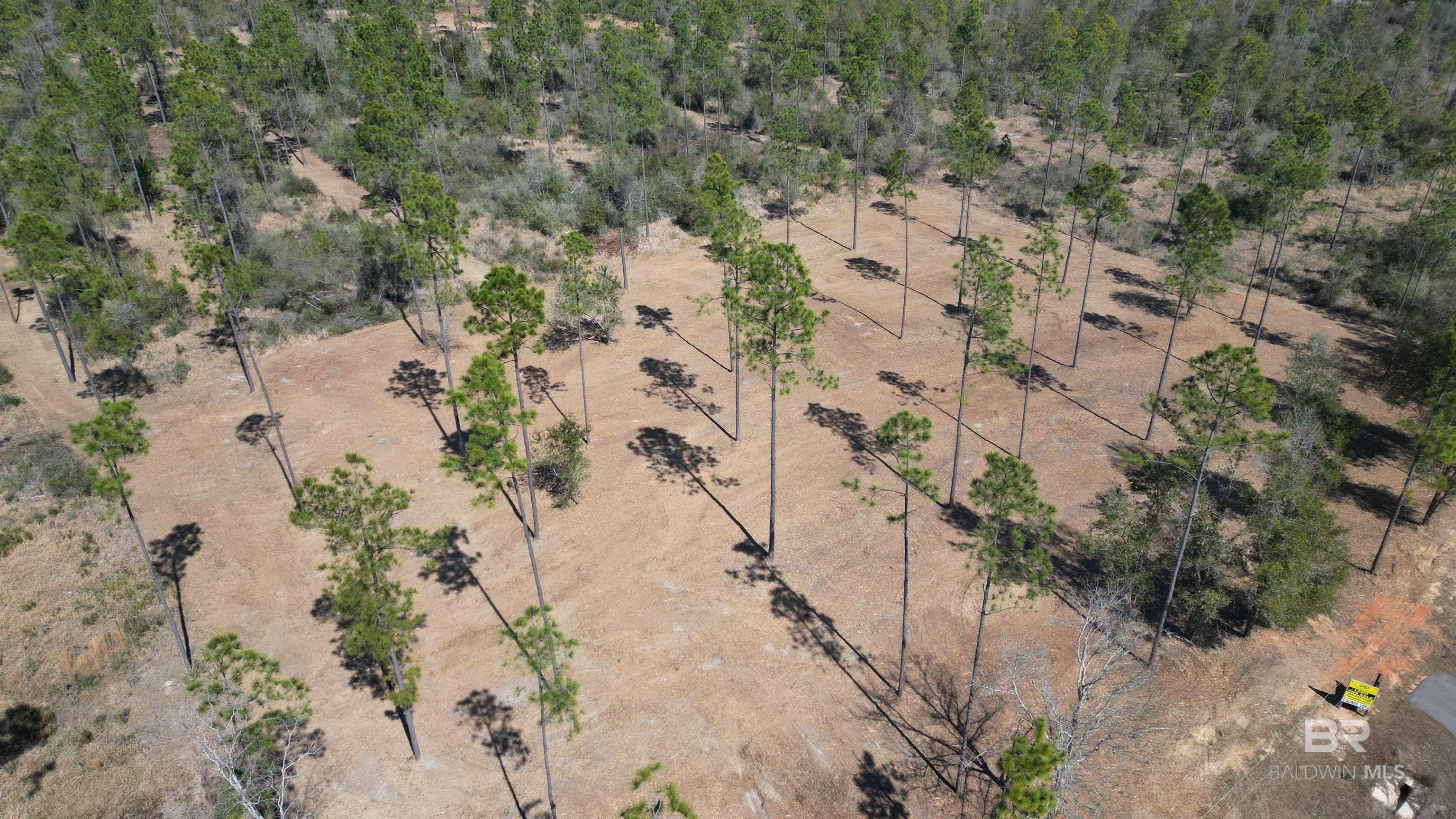 Condos for Sale in Phoenix I Orange Beach