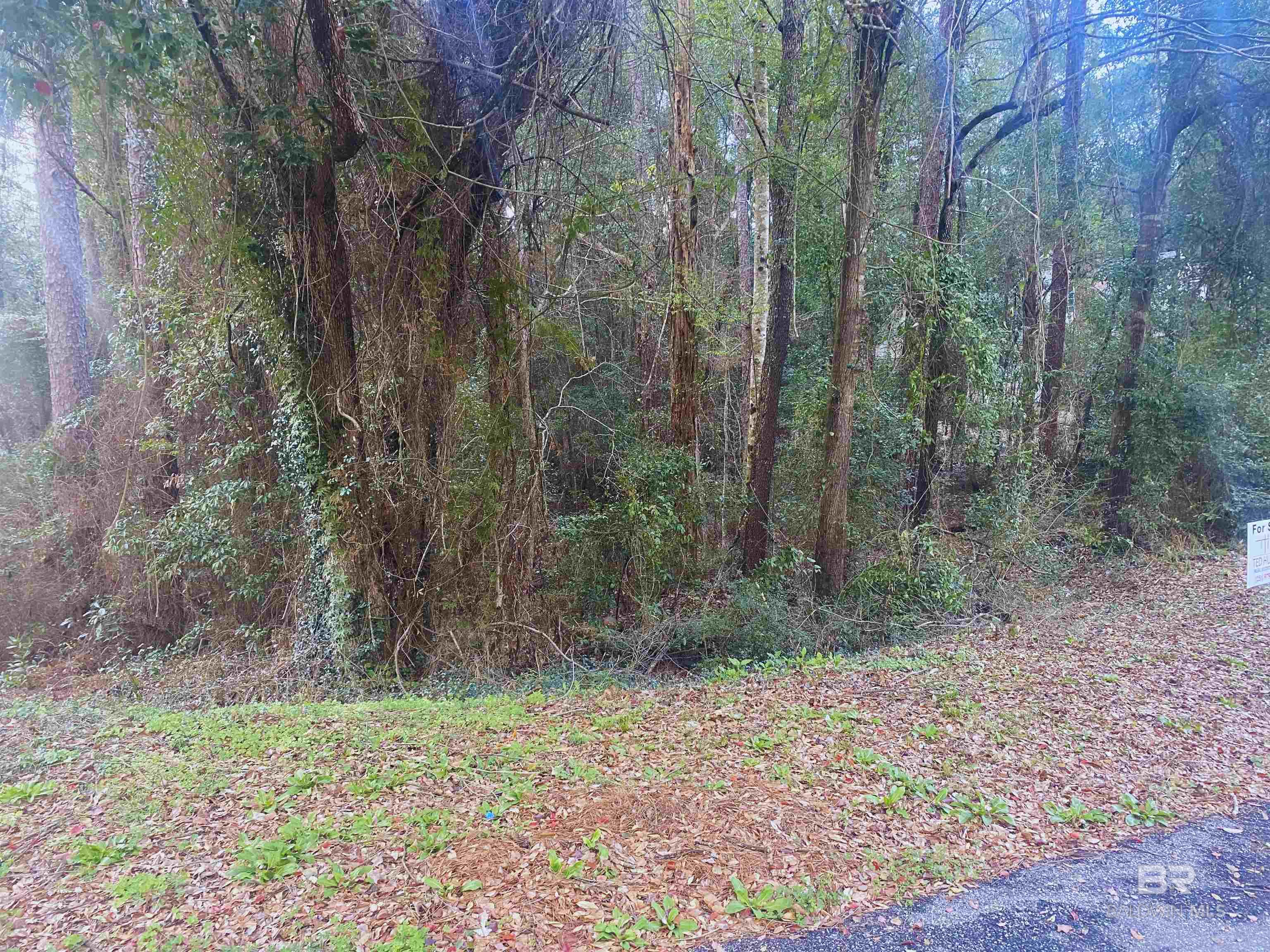 2352 LINDA Drive, Mobile, AL, 36617