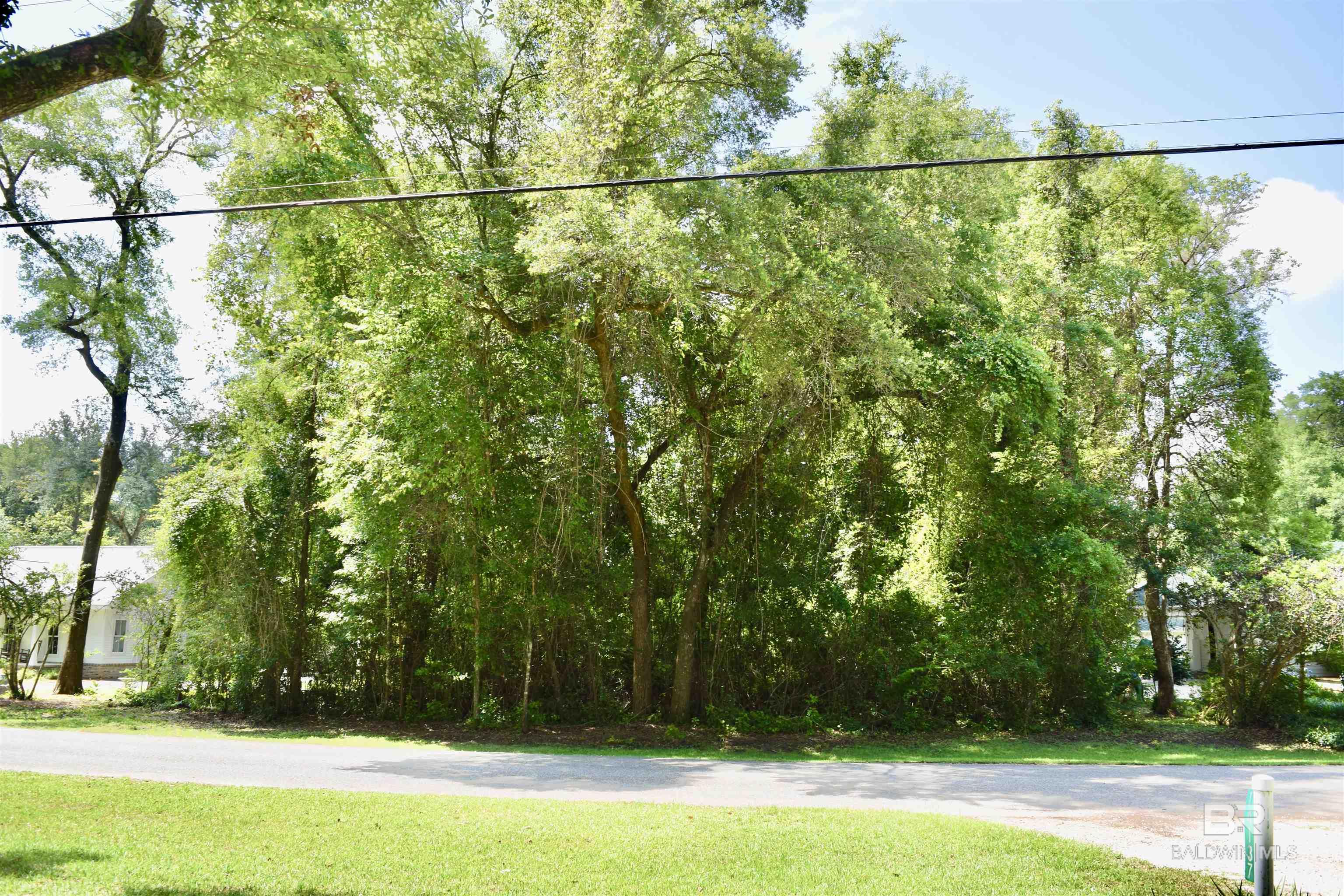 14134 Woodland Drive, Magnolia Springs, AL, 36555
