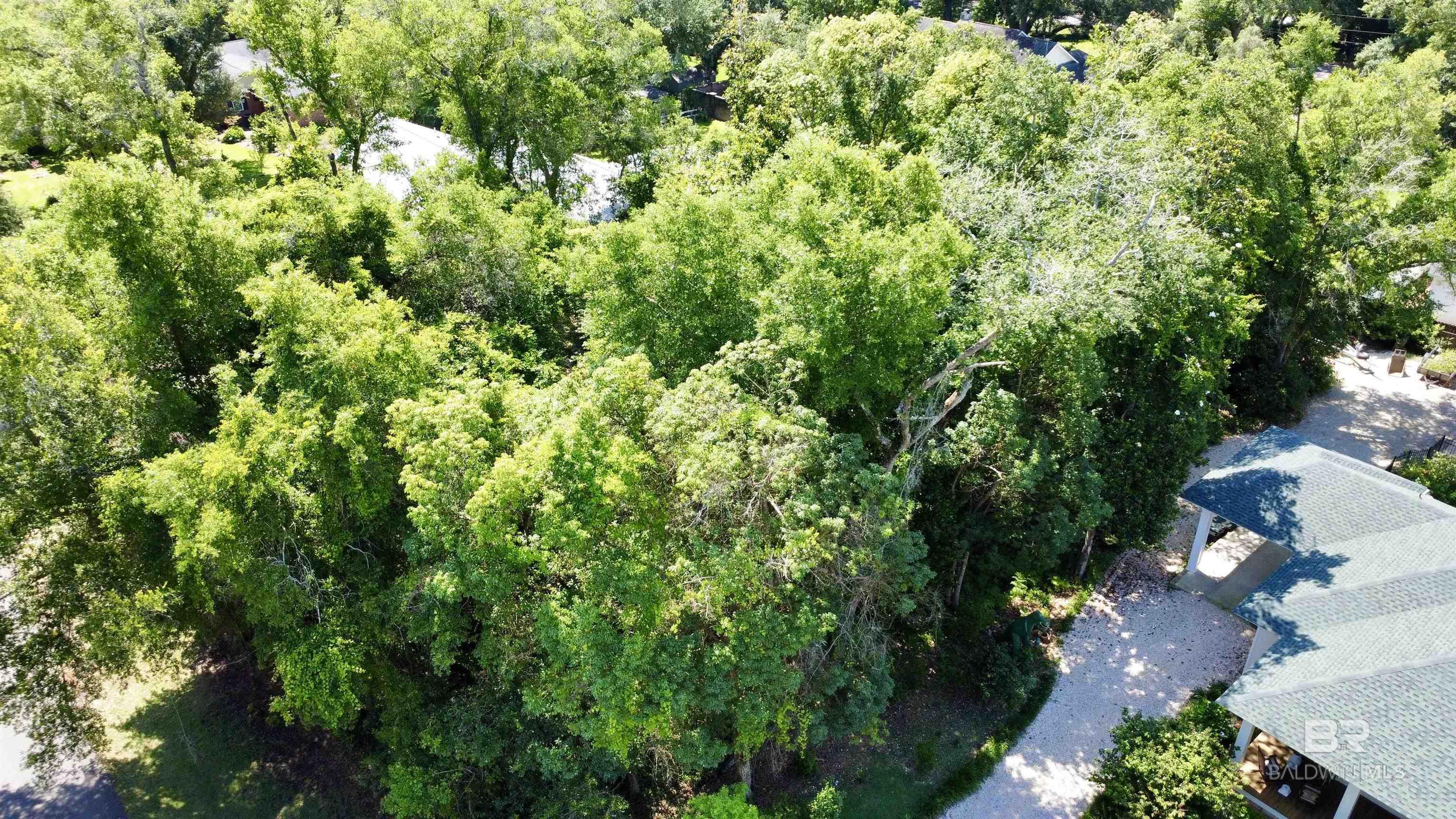 14134 Woodland Drive, Magnolia Springs, AL, 36555
