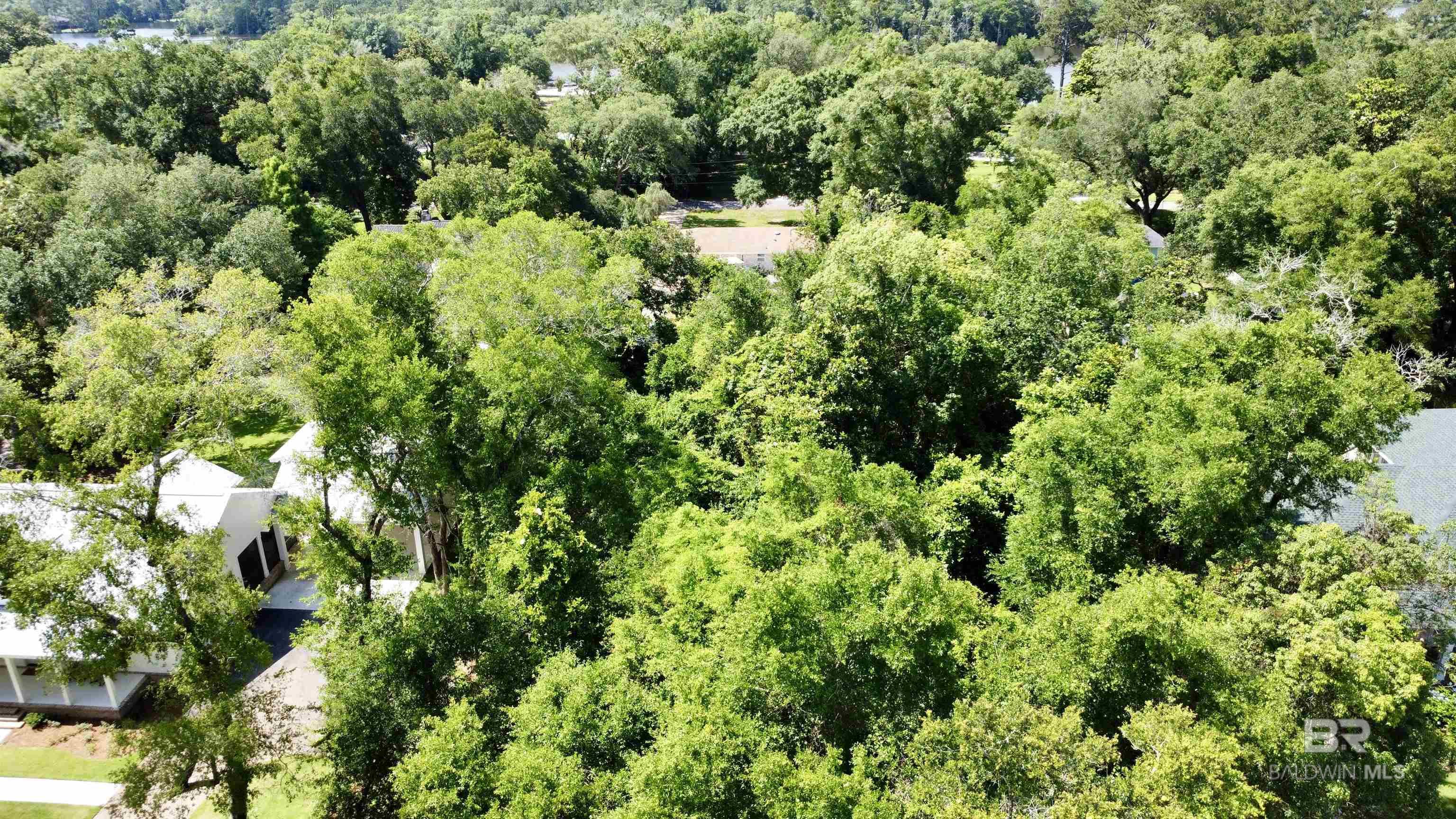 14134 Woodland Drive, Magnolia Springs, AL, 36555