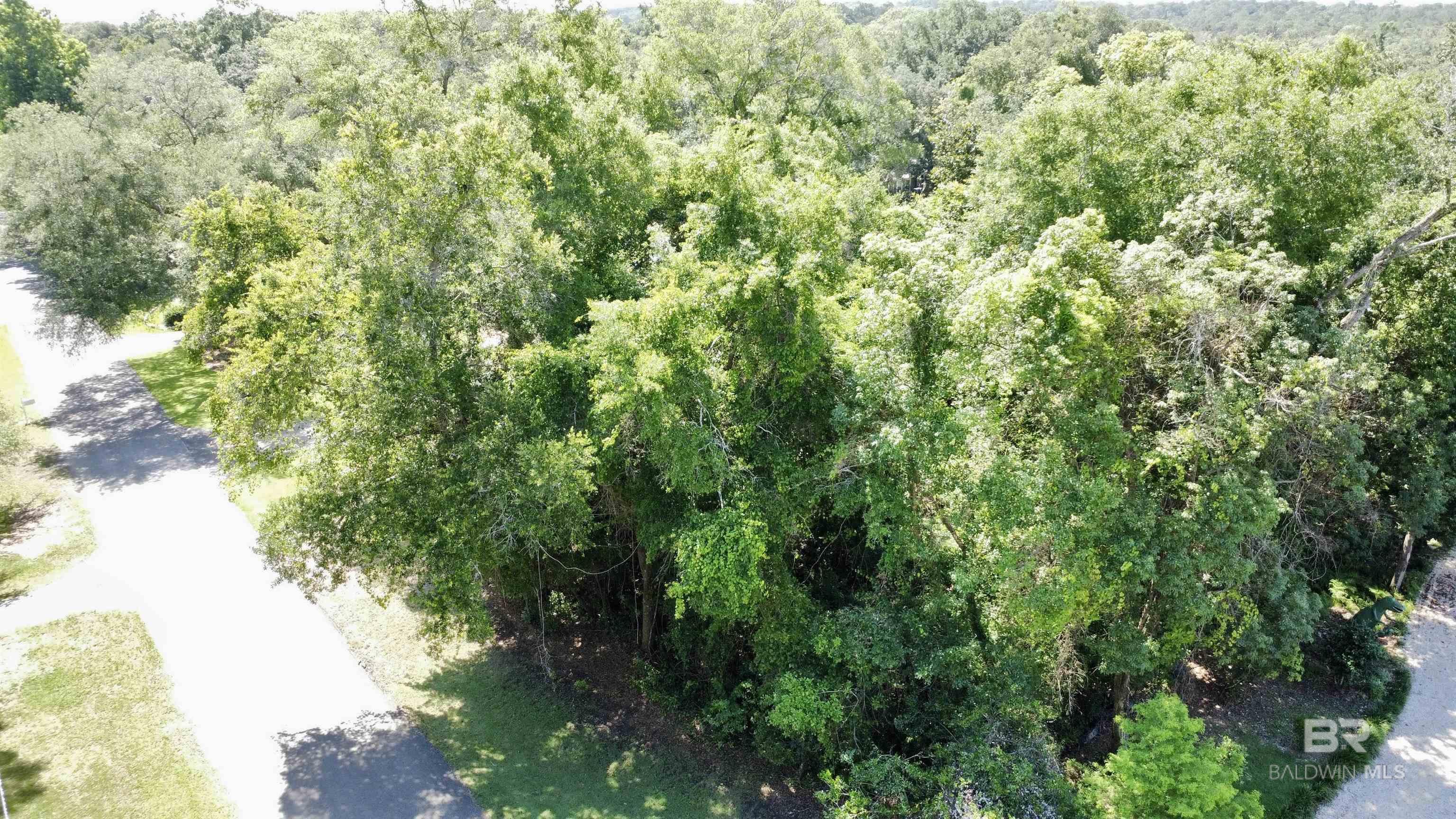 14134 Woodland Drive, Magnolia Springs, AL, 36555