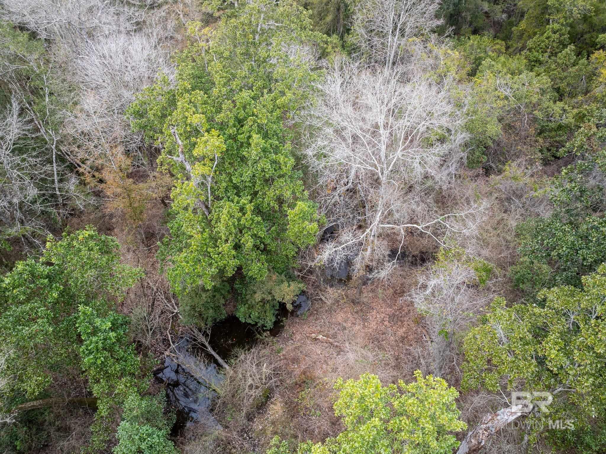 0 Holston Lane, Silverhill, AL, 36576