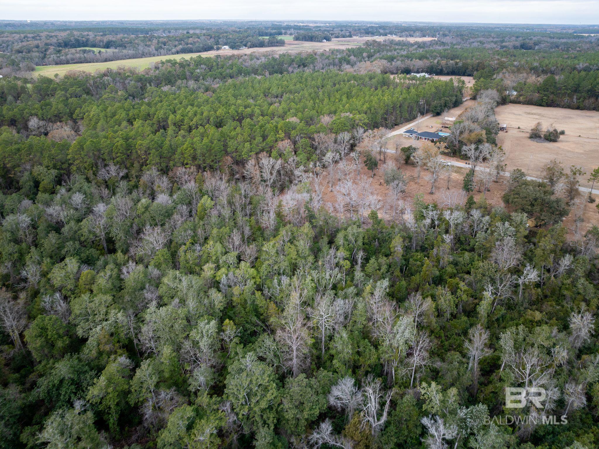 0 Holston Lane, Silverhill, AL, 36576