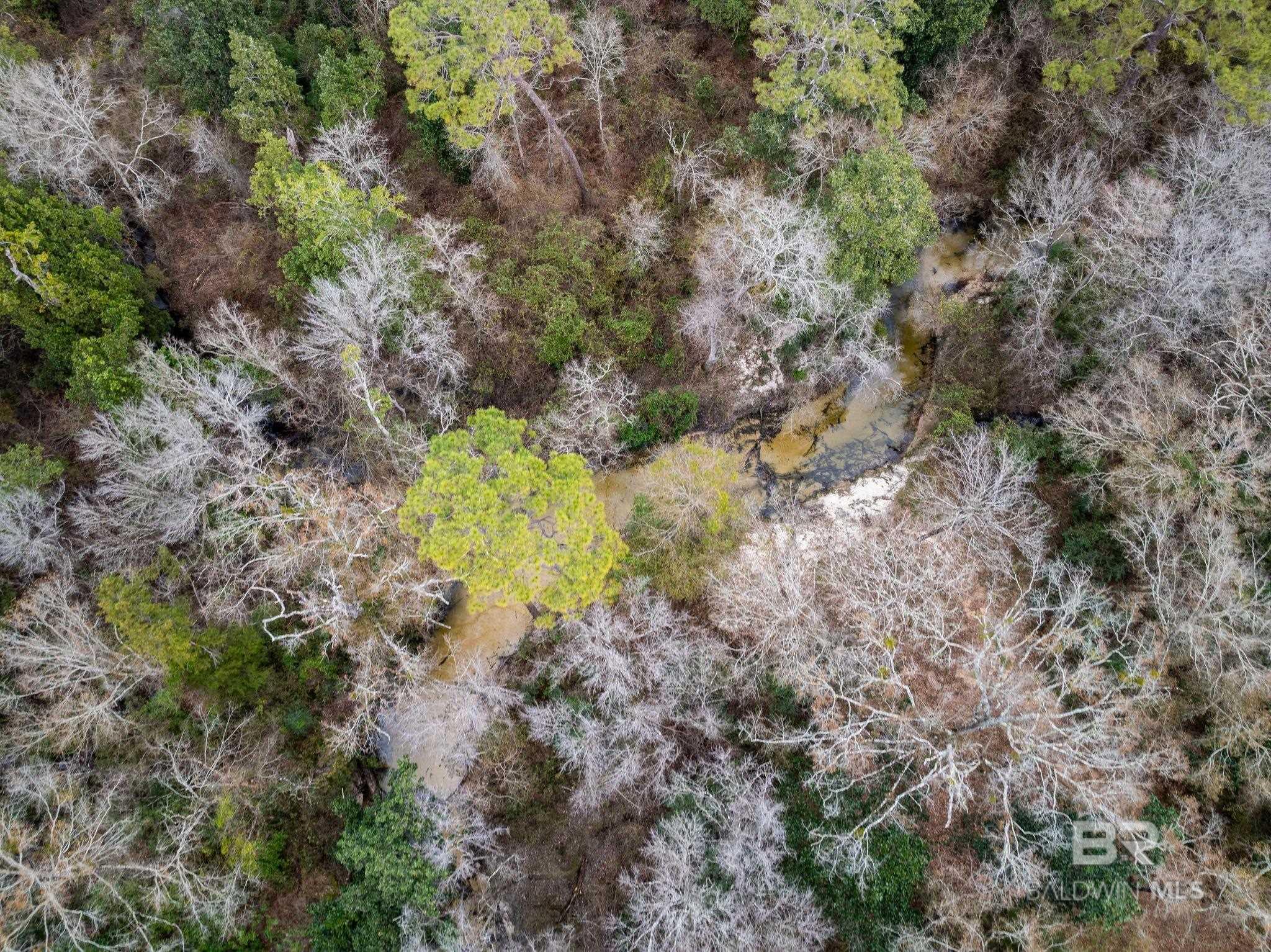 0 Holston Lane, Silverhill, AL, 36576