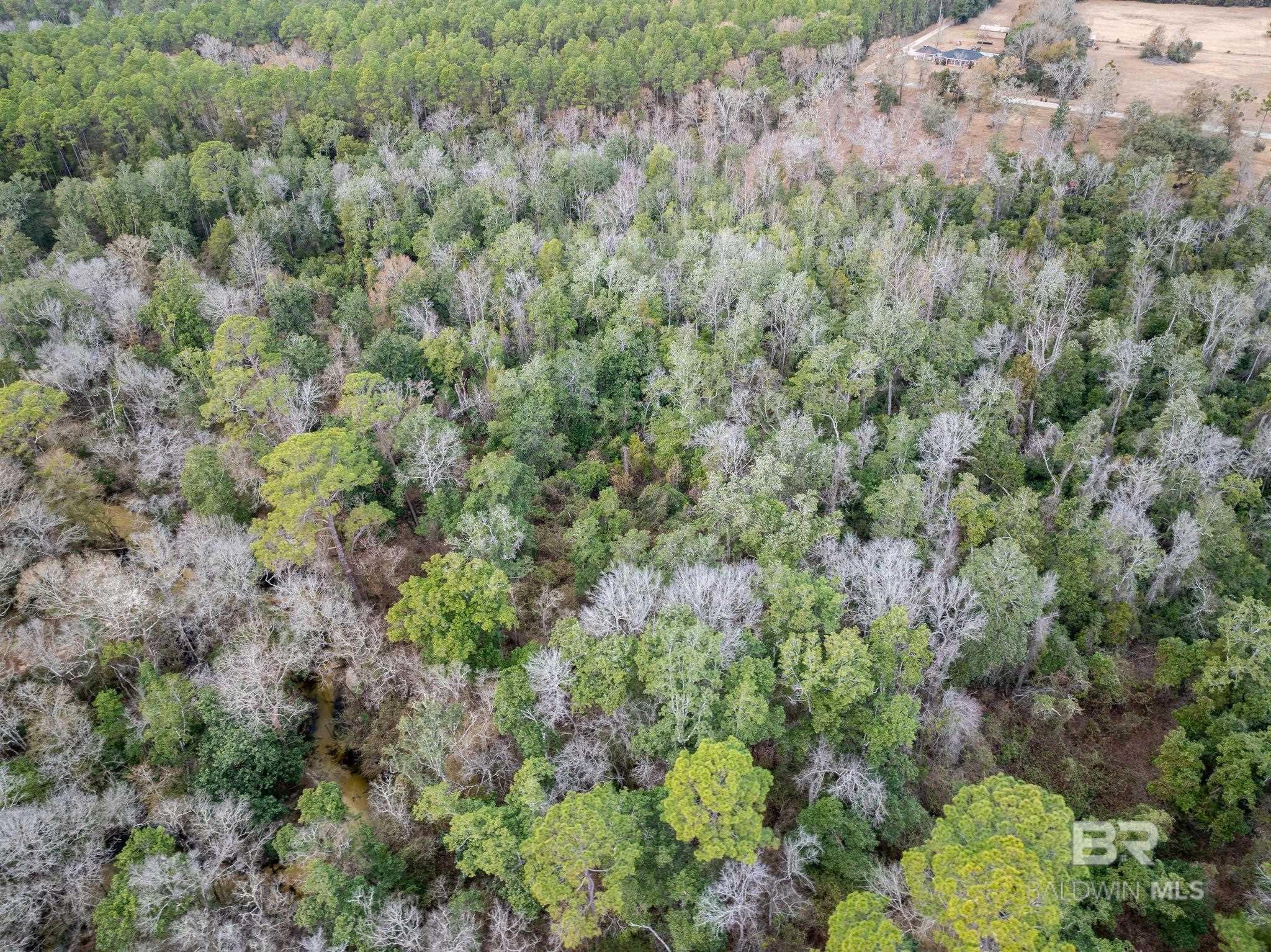 0 Holston Lane, Silverhill, AL, 36576