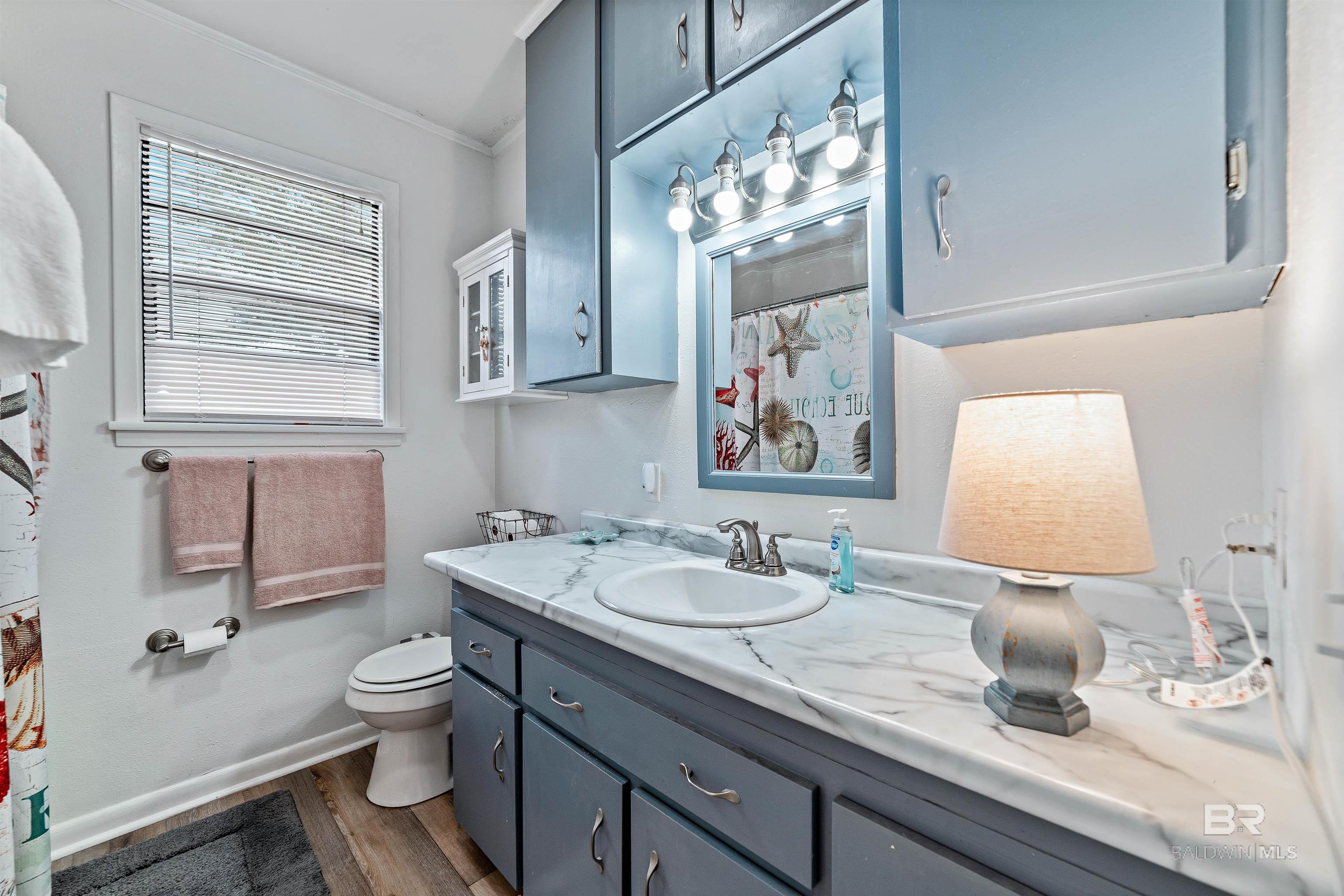 26065 Cotton Bayou Drive, Orange Beach, AL, 36561