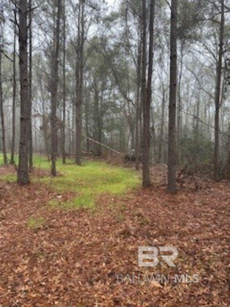 0 W Eastward Road, Jackson, AL, 36545-0000