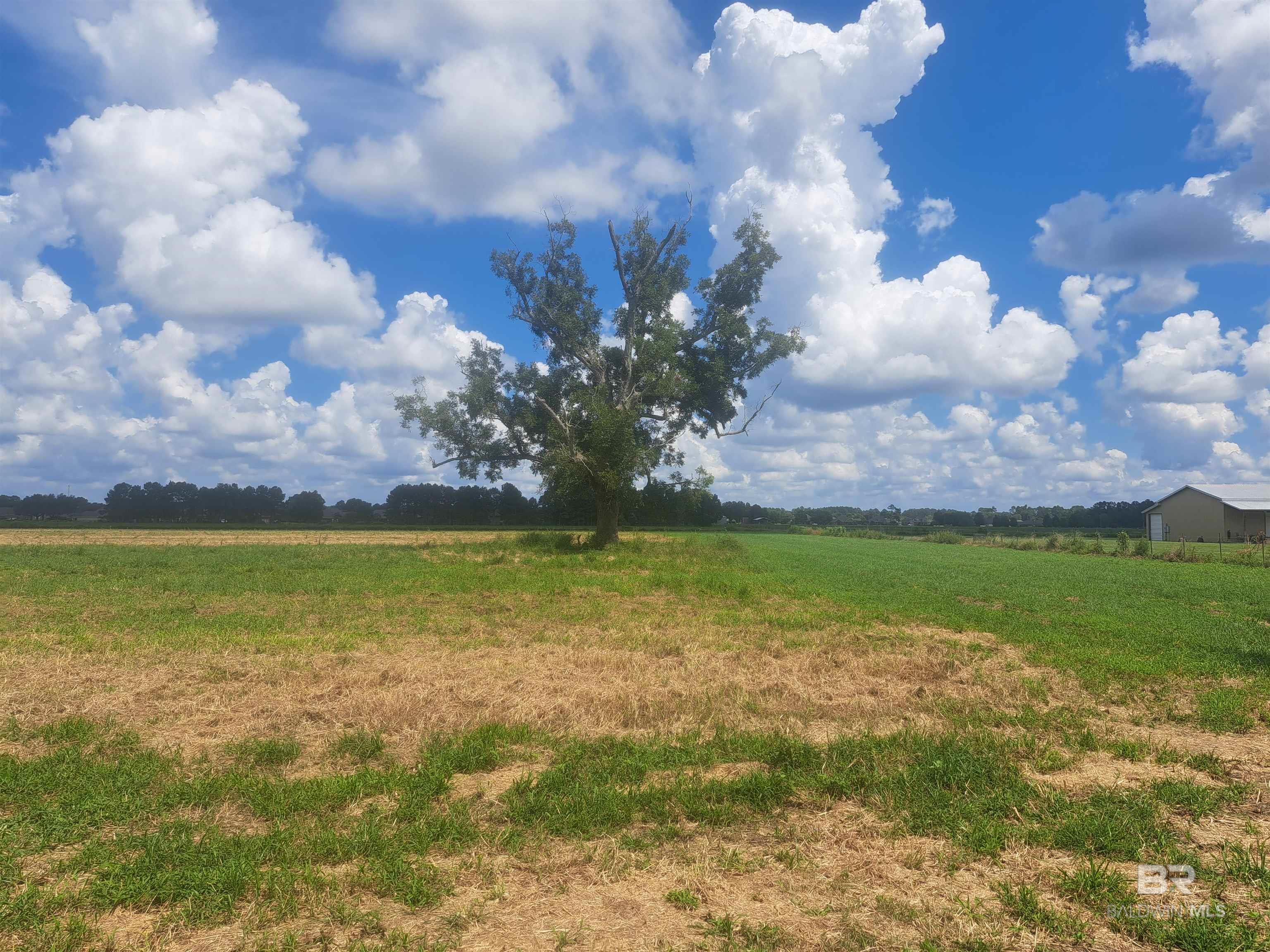 0 Sedona Drive, Daphne, AL, 36526