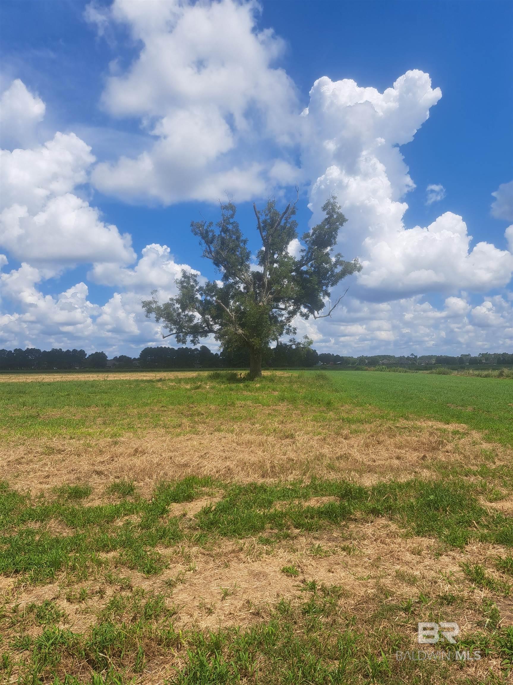 0 Sedona Drive, Daphne, AL, 36526