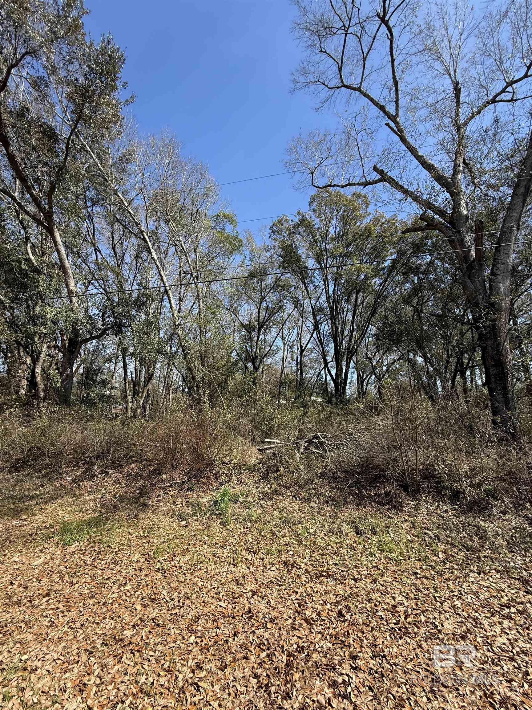 TBD Lot 4 Peanut Road, Cottondale, FL, 32431