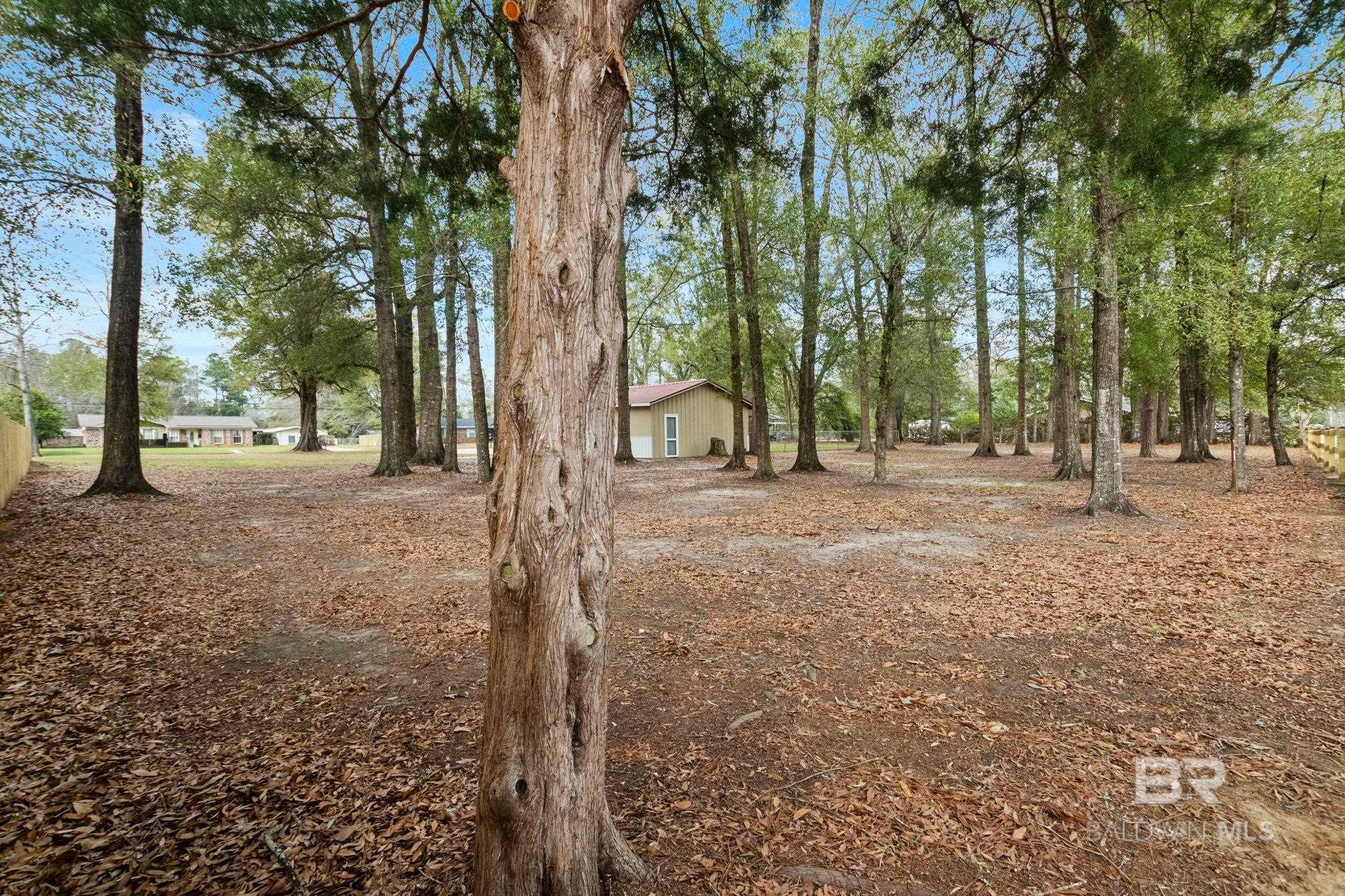 101 Duncan Street, East Brewton, AL, 36426