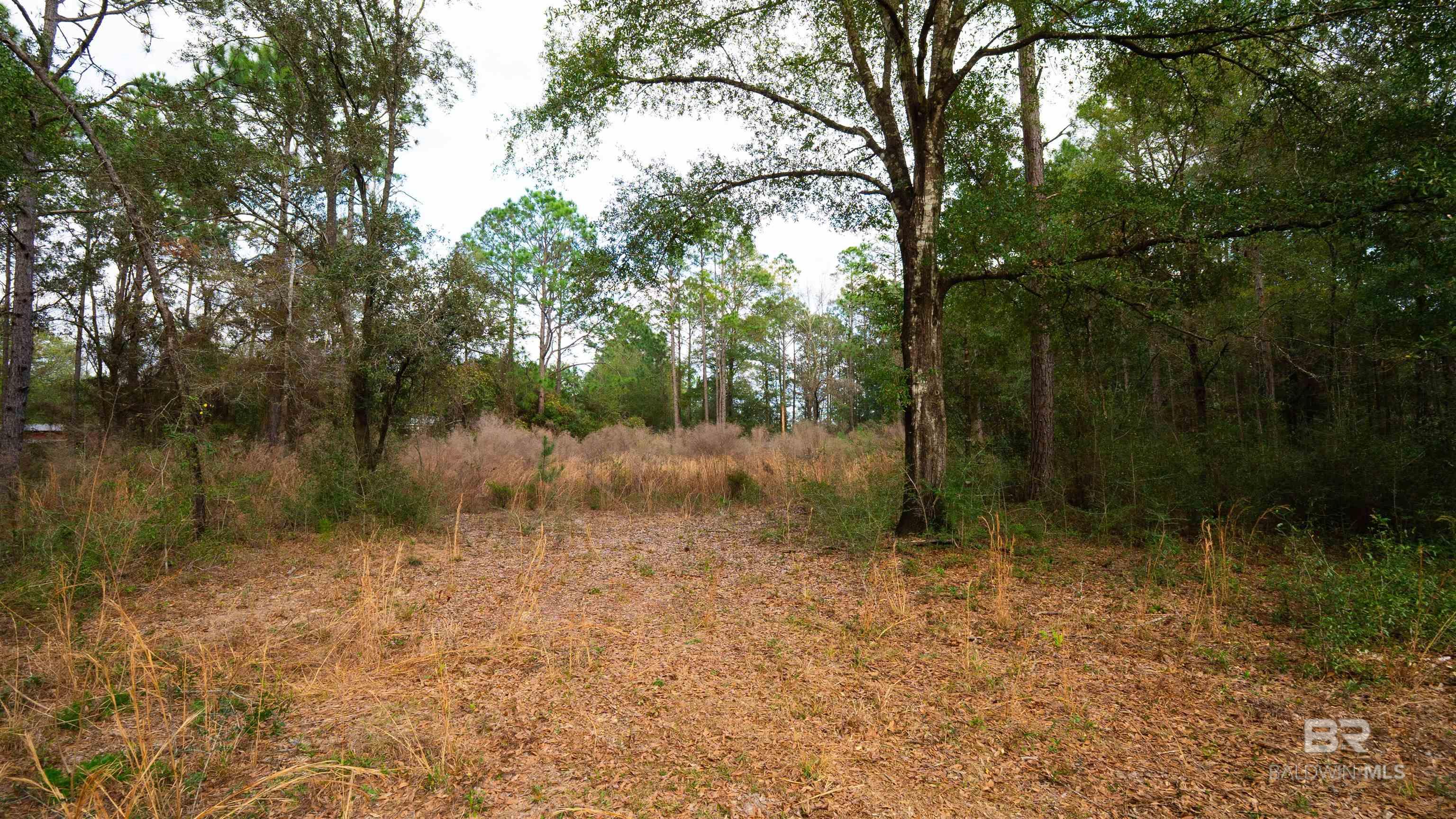 31927 US Highway 90, Robertsdale, AL, 36574-7829