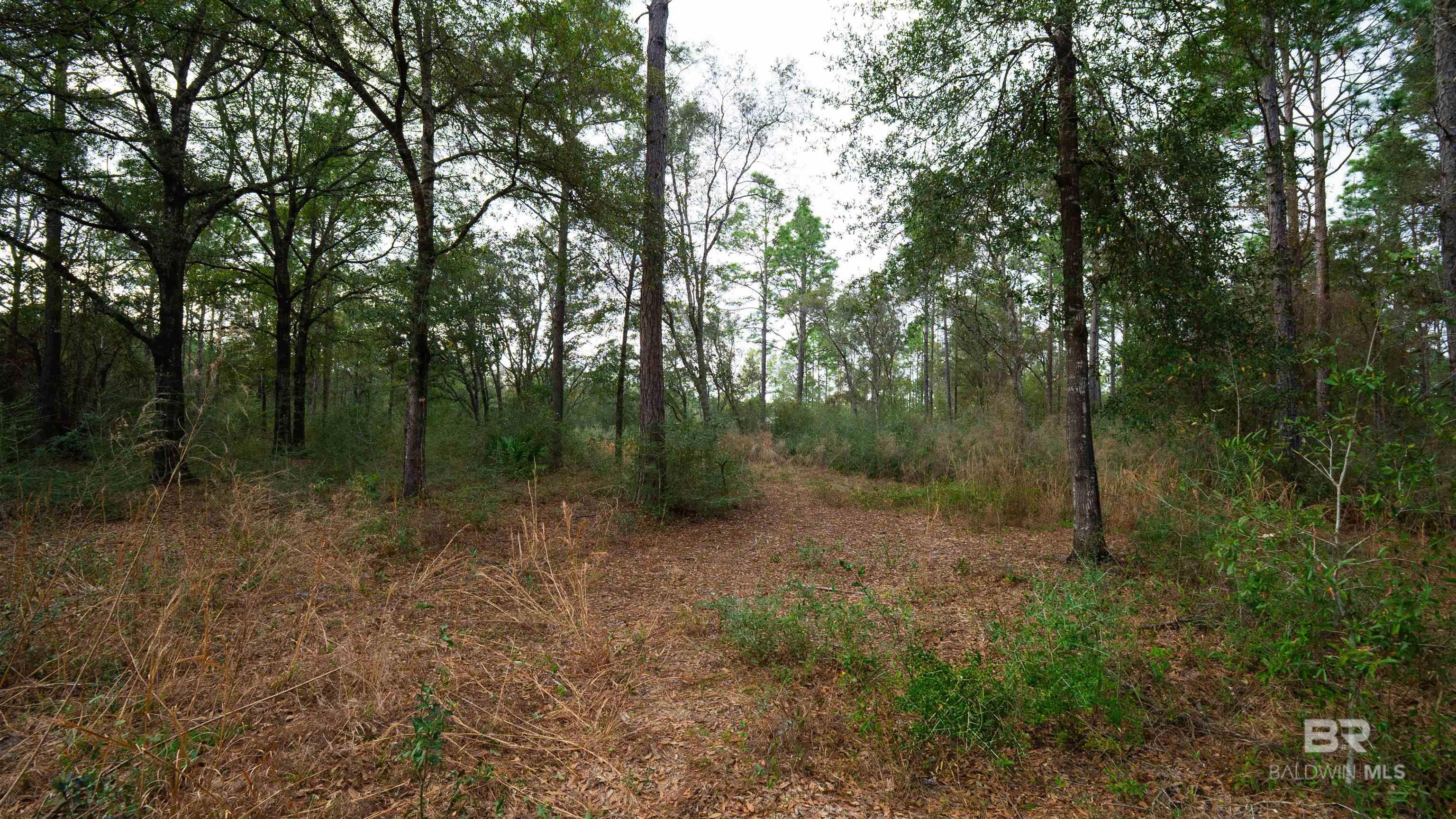 31927 US Highway 90, Robertsdale, AL, 36574-7829