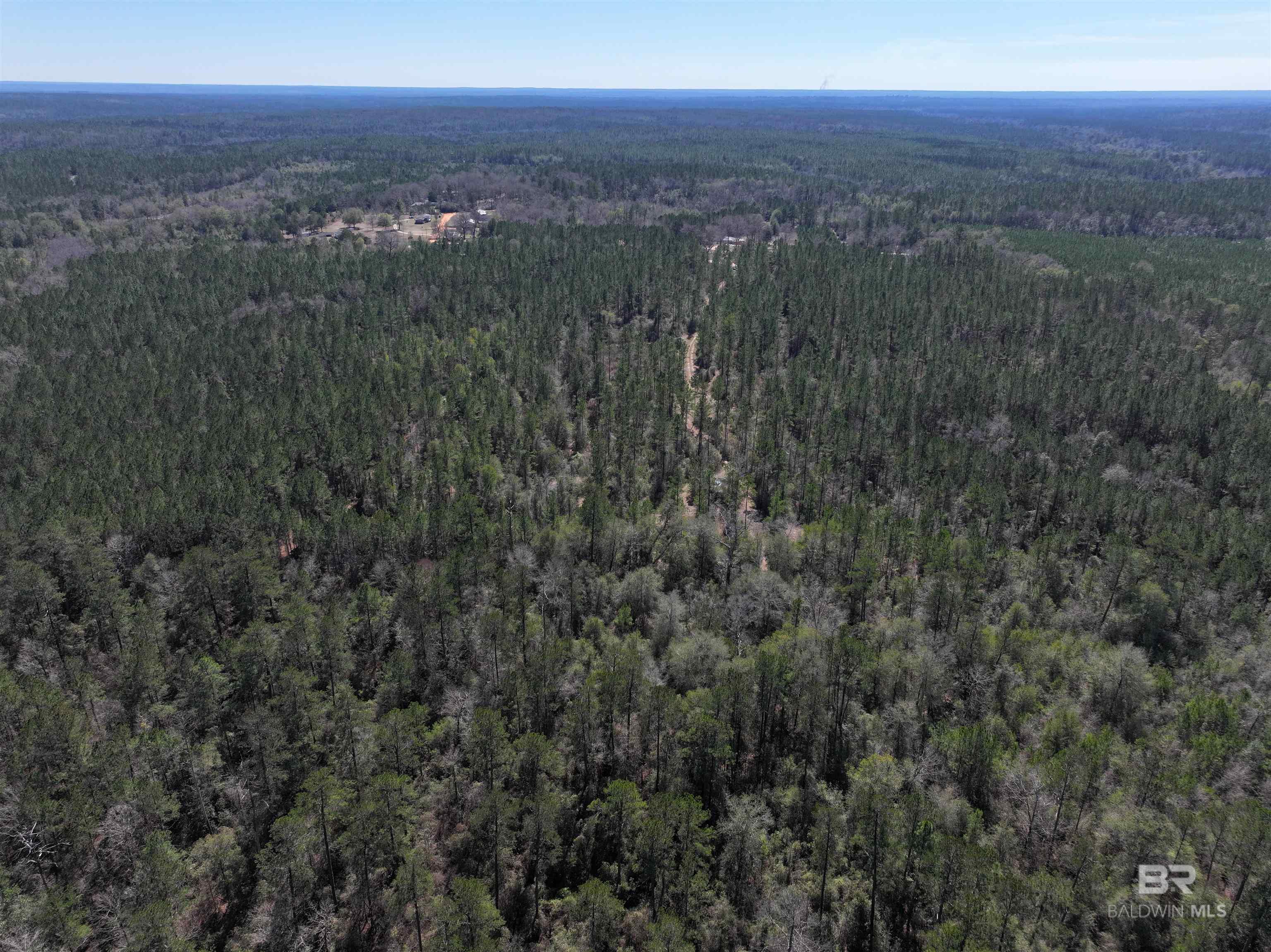 0 Murder Creek Road, Brewton, AL, 36426