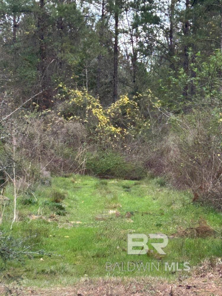 0 Murder Creek Road, Brewton, AL, 36426